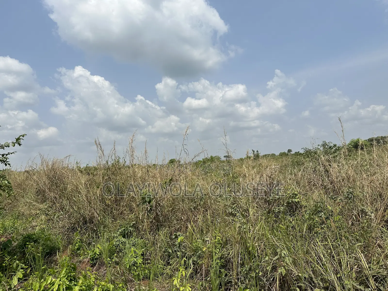 10 Acres Land Available for Sale