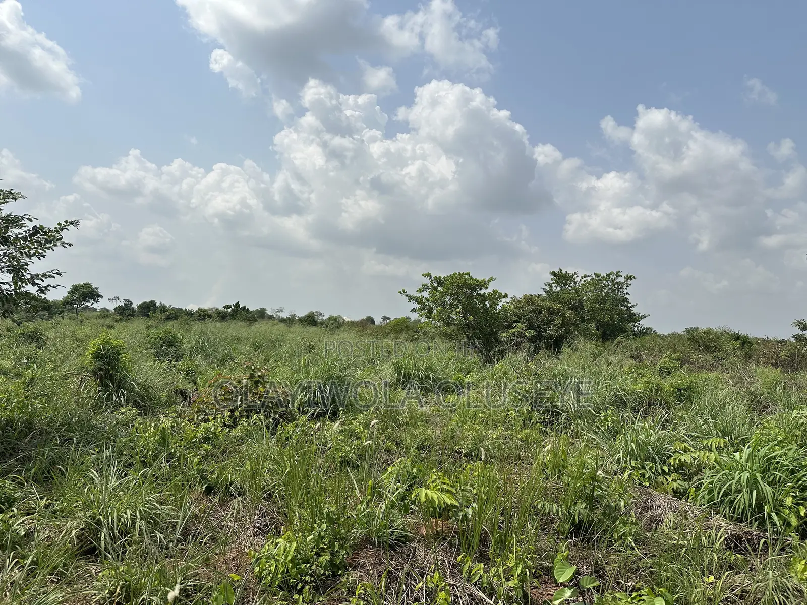 10 Acres Land Available for Sale