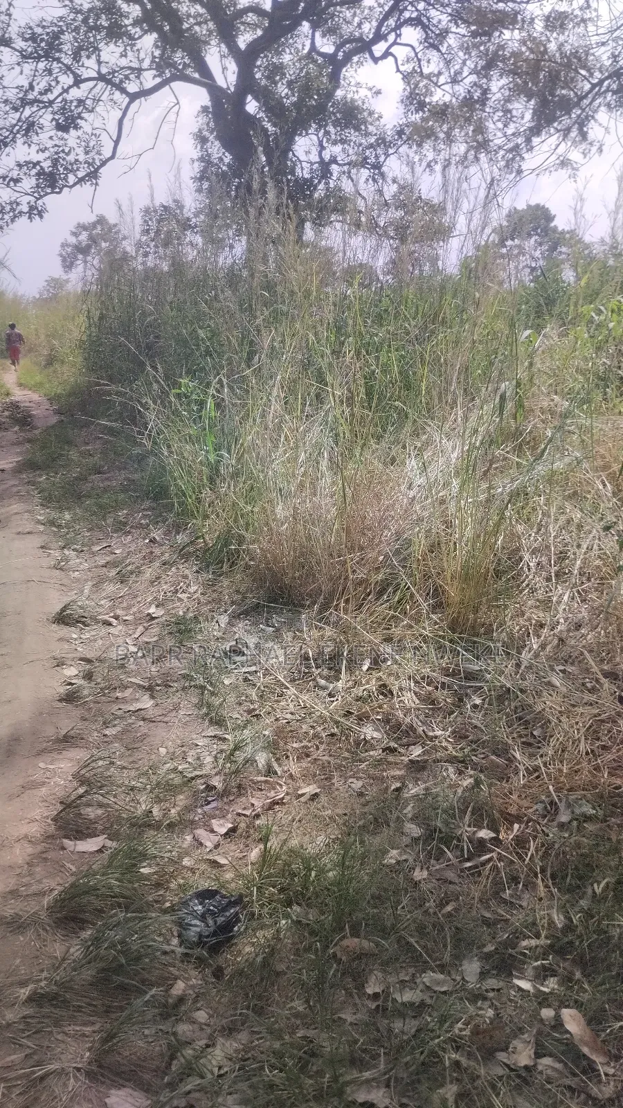 30 Plots of Land for Sale