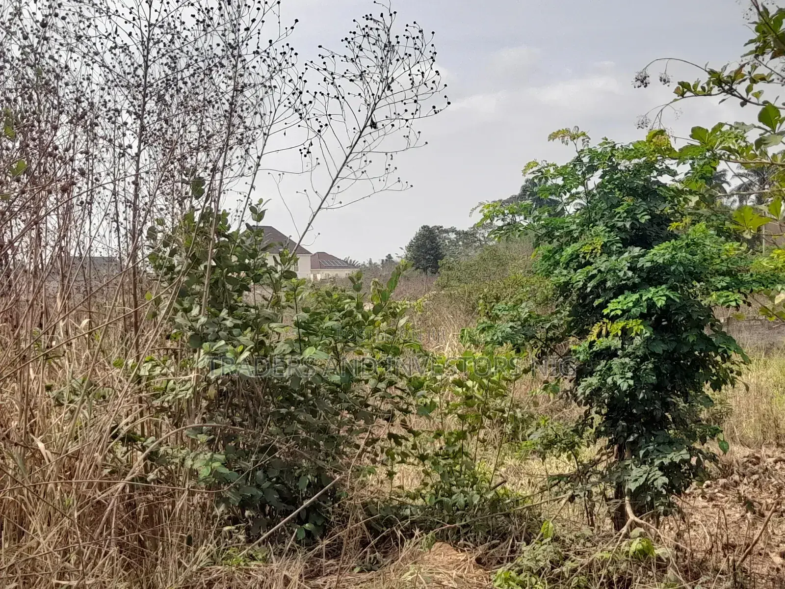 Build Home or Hostel in Oye Ekiti, a Growing University Town.
