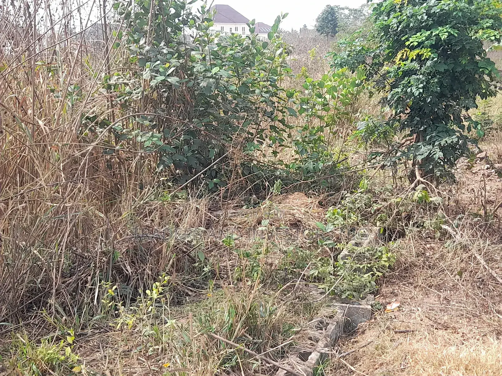 Build Home or Hostel in Oye Ekiti, a Growing University Town.