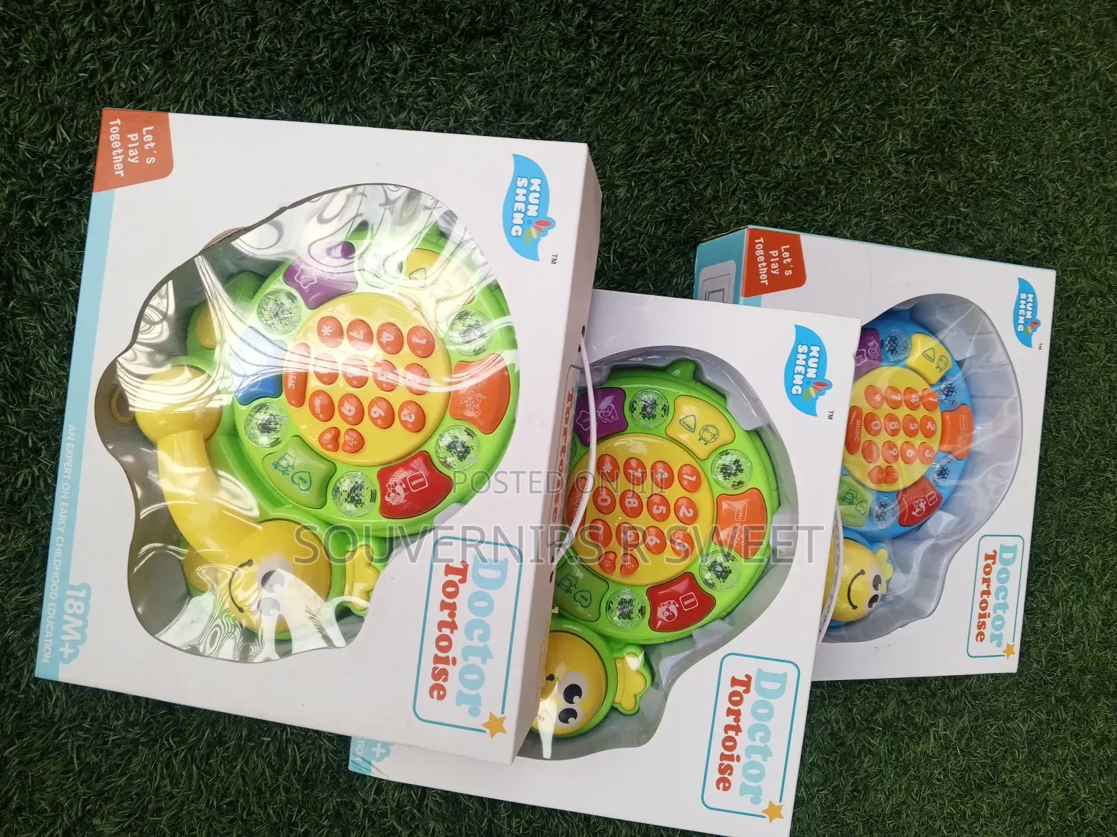 Doctor Tortoise Montessori Set