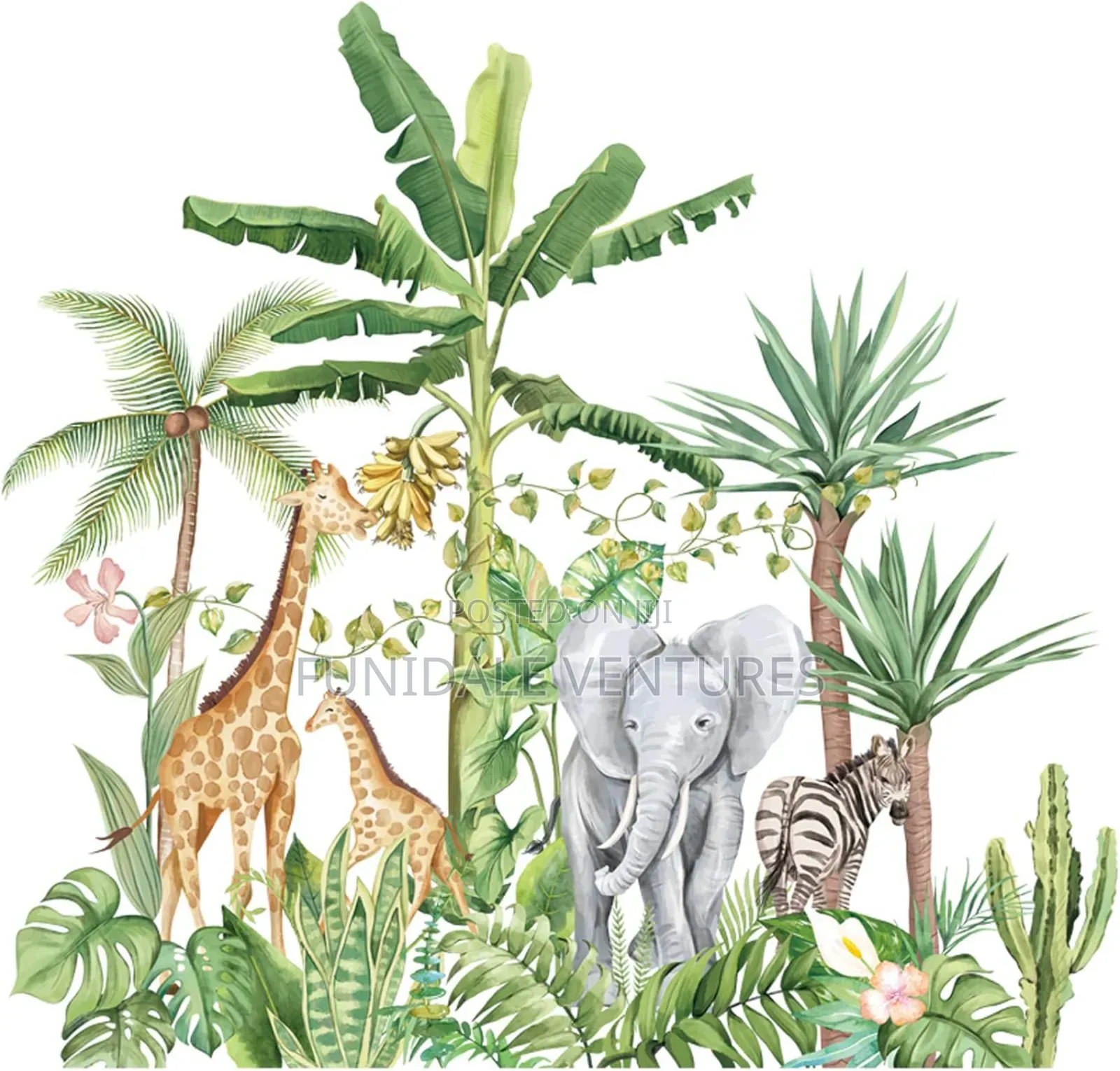 Tropical Rainforest Animals Decals