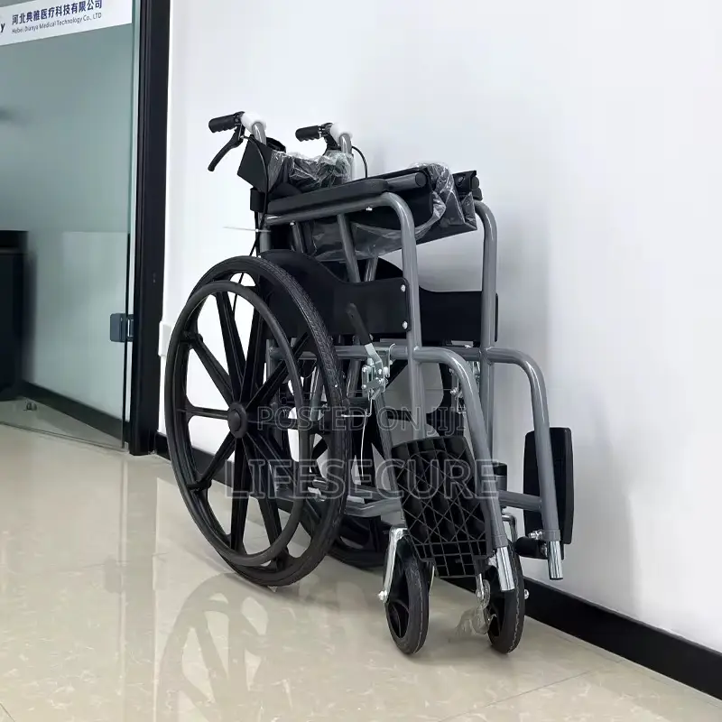 Carbon Steel Durable Manual Wheelchair(Seatbelt, Brakes Etc)