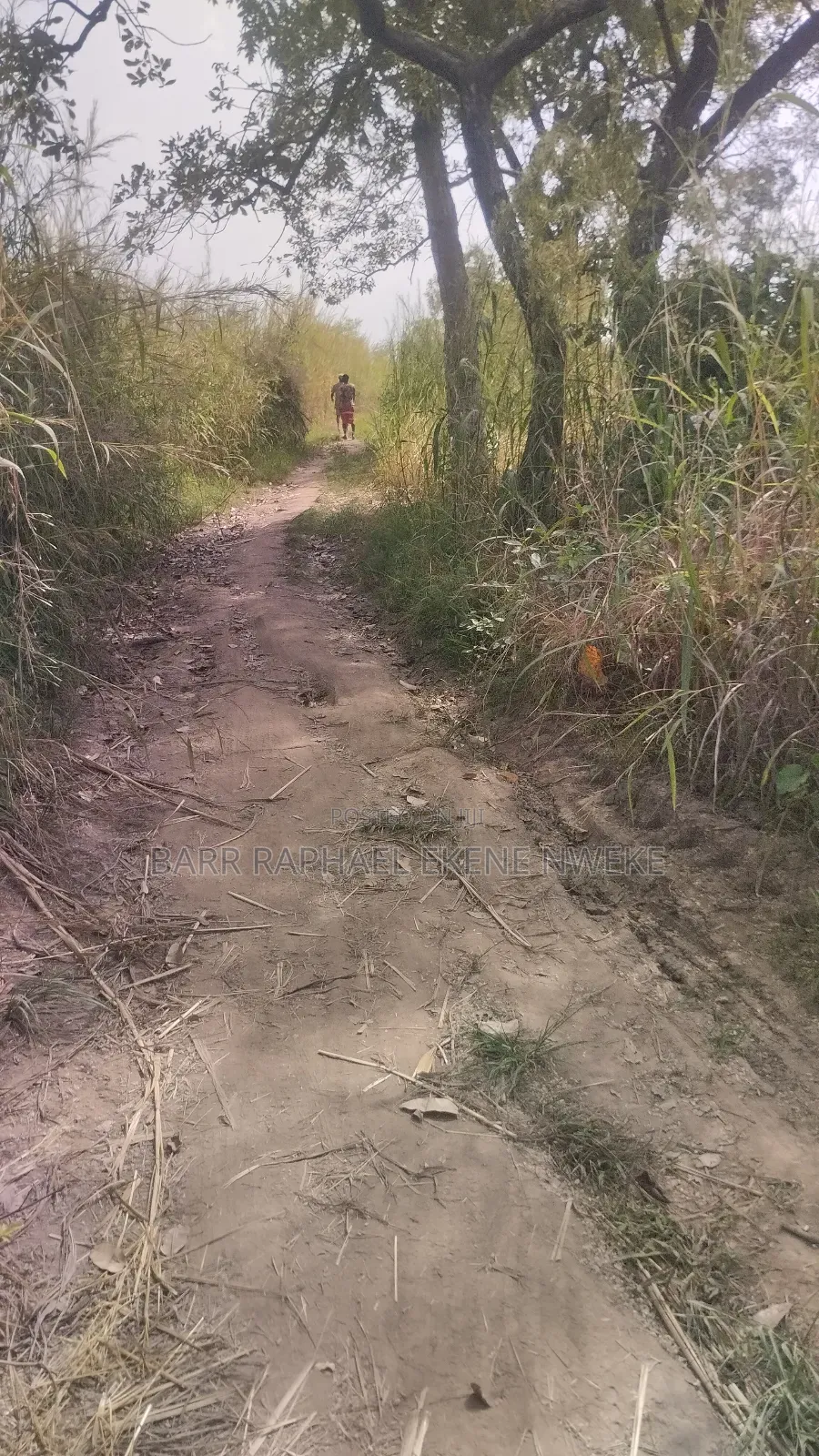 76 Plots of Land for Sale