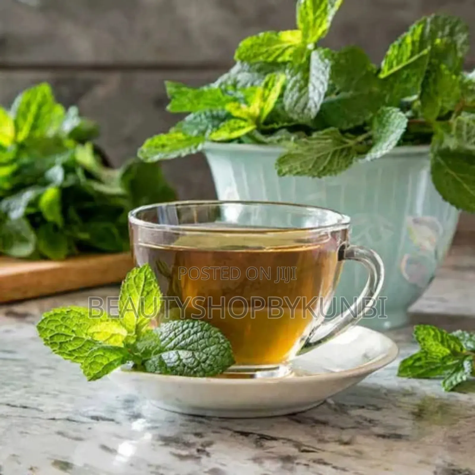 Spearmint Tea(20 Tea Bags Pack)