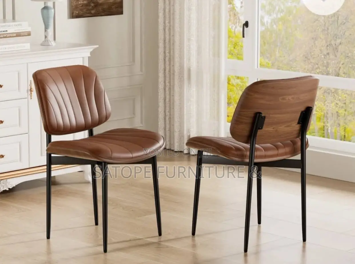 Elegant Design Dining Chair
