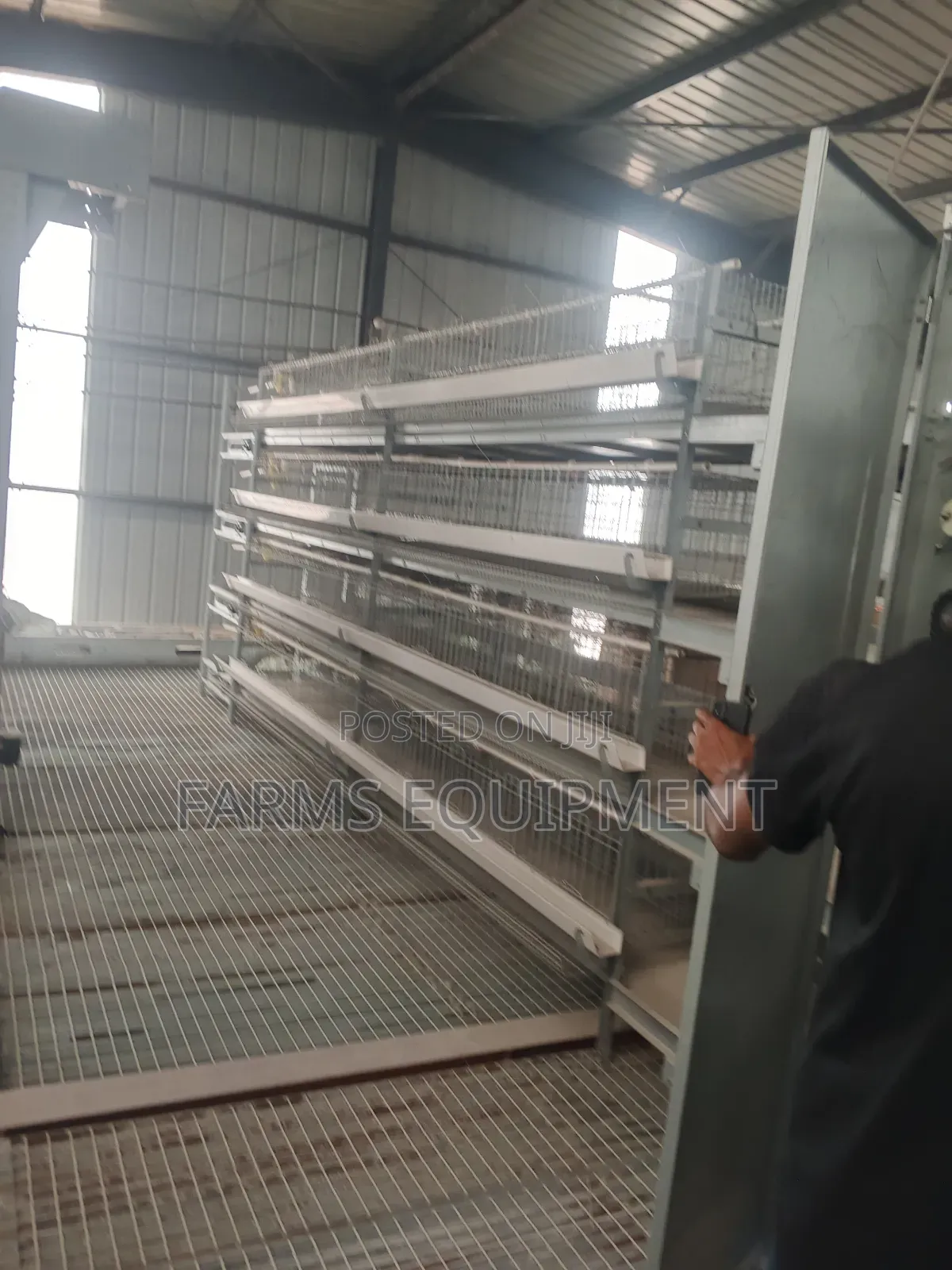 Full Automated Poultry Cage
