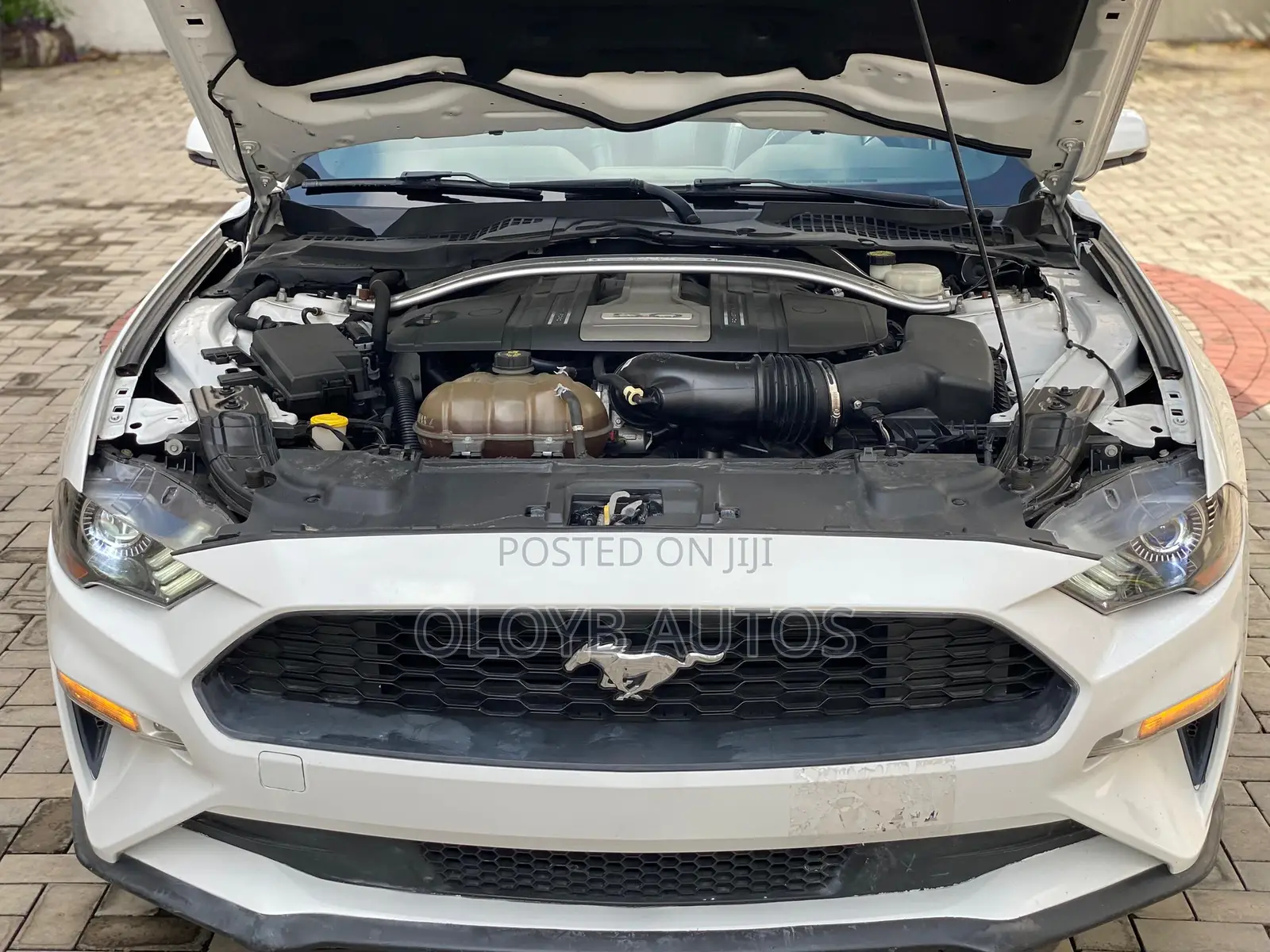 Ford Mustang GT Premium Convertible 2018 White