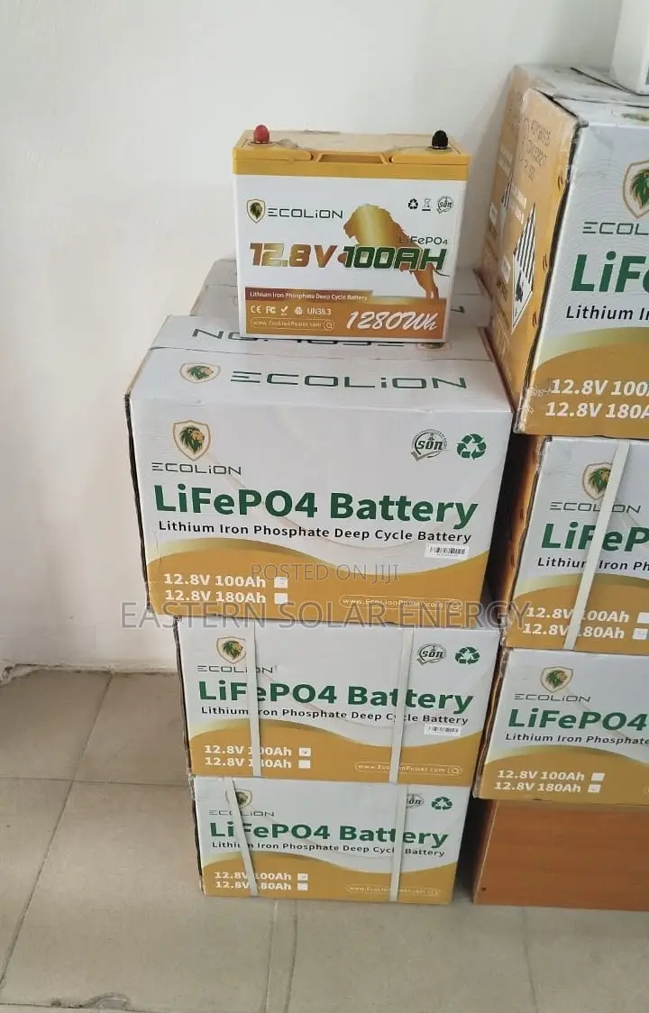 Eco-Lion Lithium Battery
