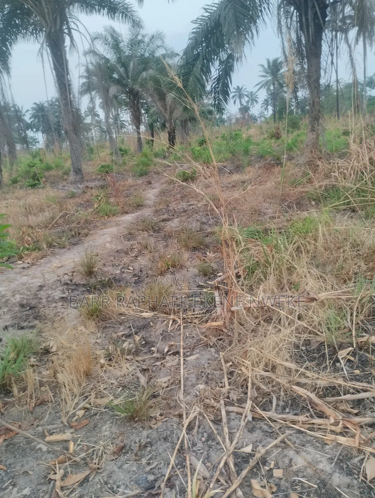 4 Plots of Land for Sale