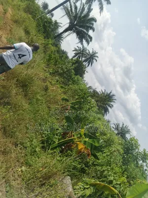 A Plot of Land and Two Plot of Land for Sale