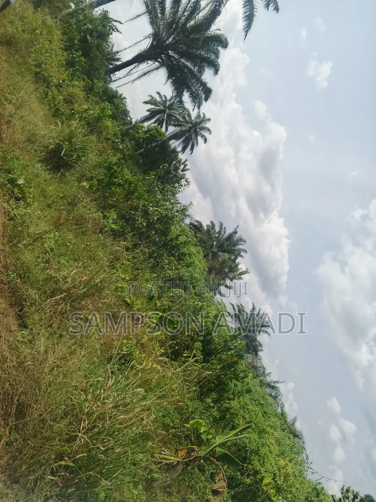 A Plot of Land and Two Plot of Land for Sale