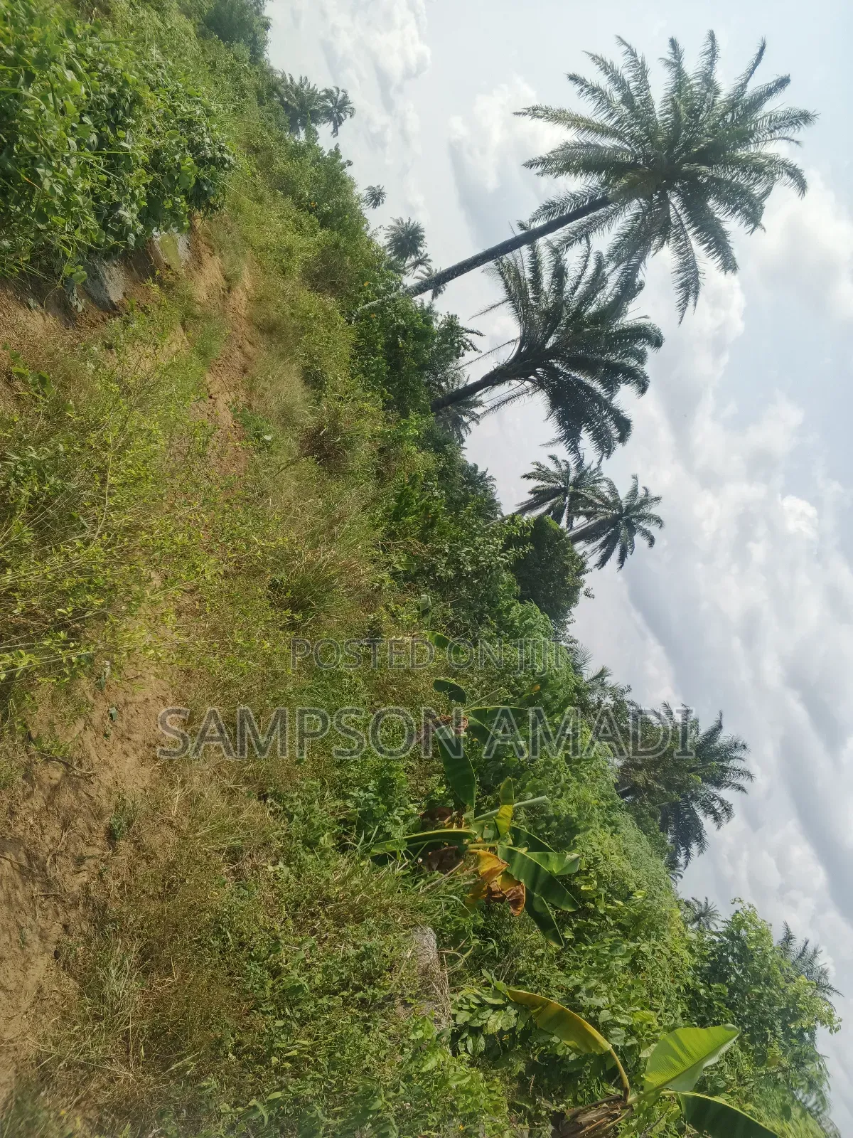 A Plot of Land and Two Plot of Land for Sale