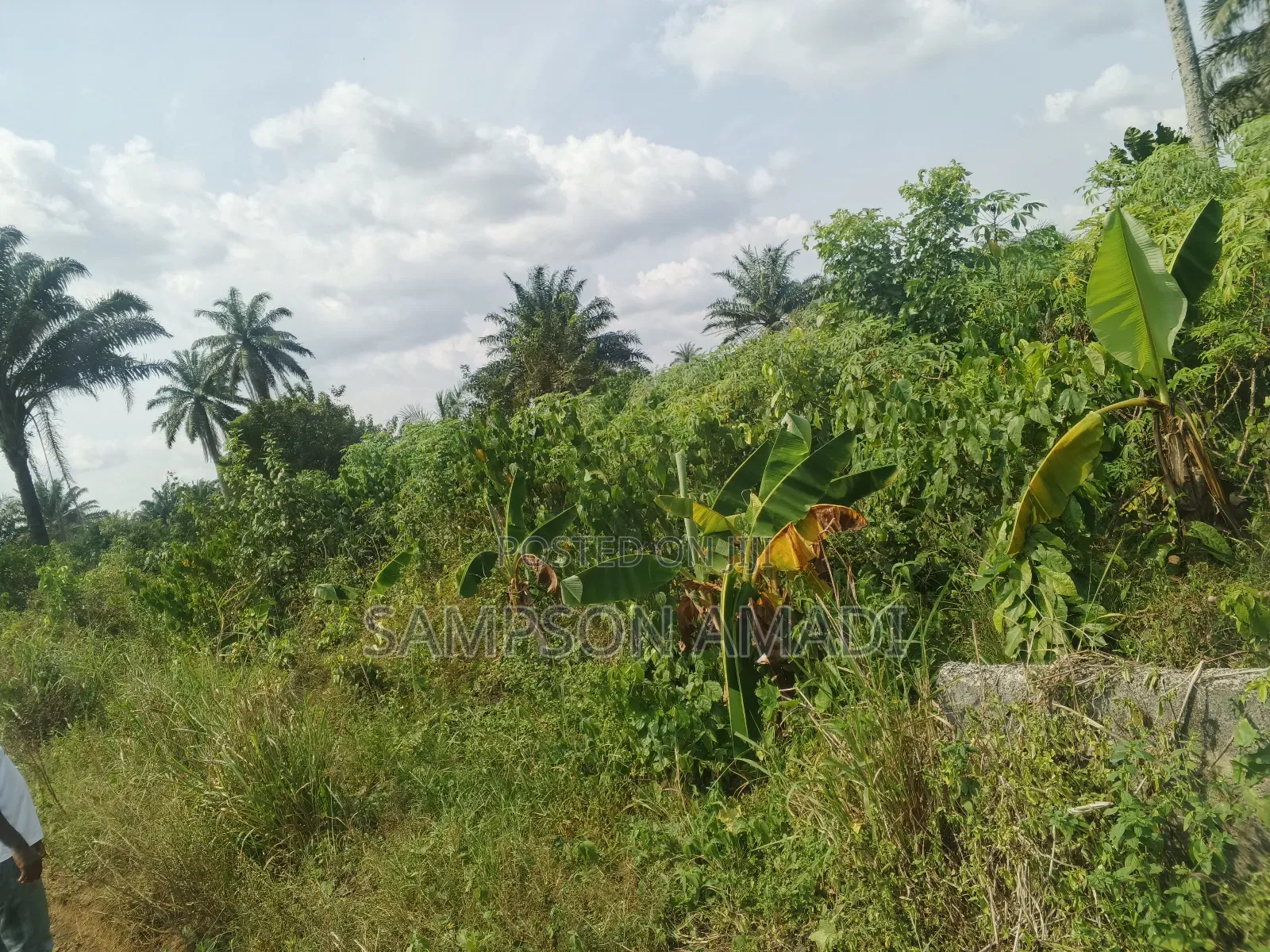 A Plot of Land and Two Plot of Land for Sale