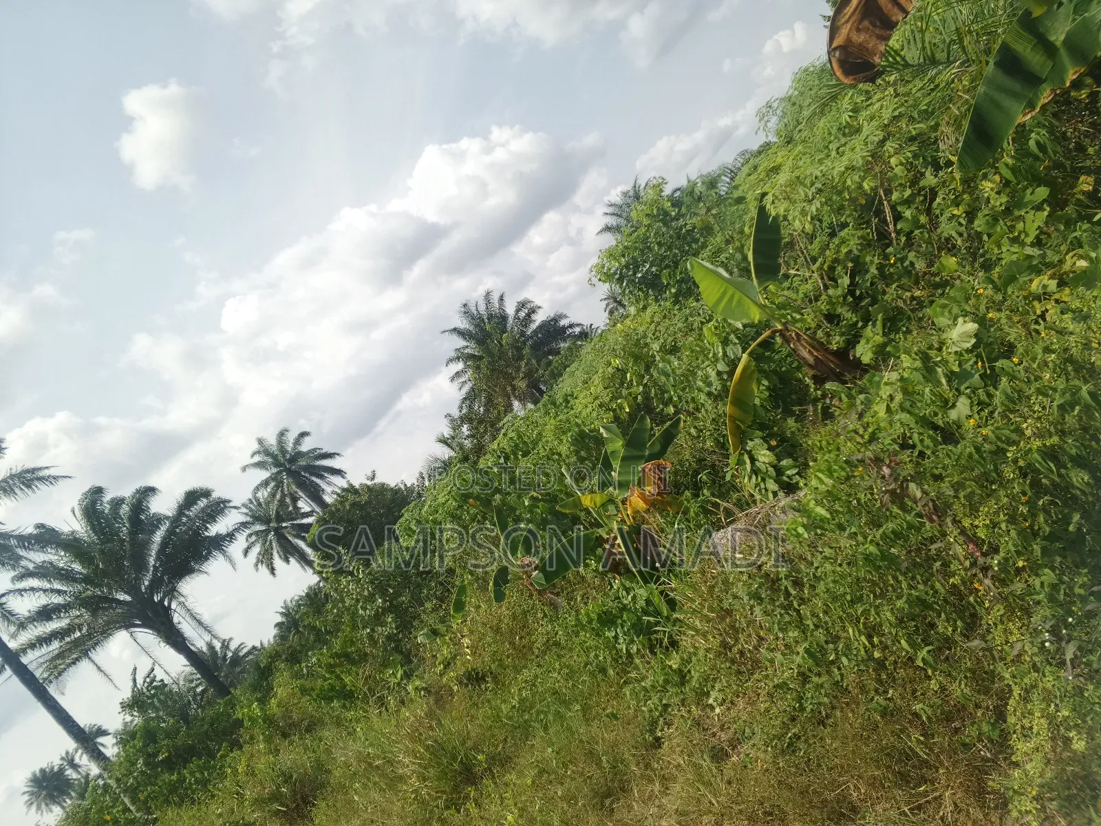 A Plot of Land and Two Plot of Land for Sale