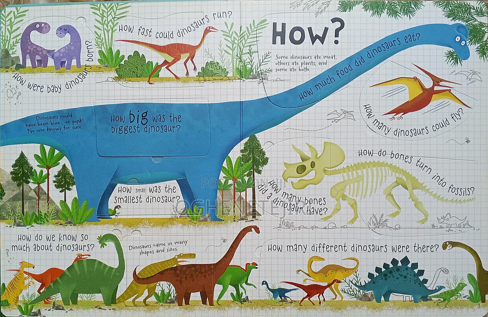About Dinosaurs - Usborne Lift-the-Flap Collection