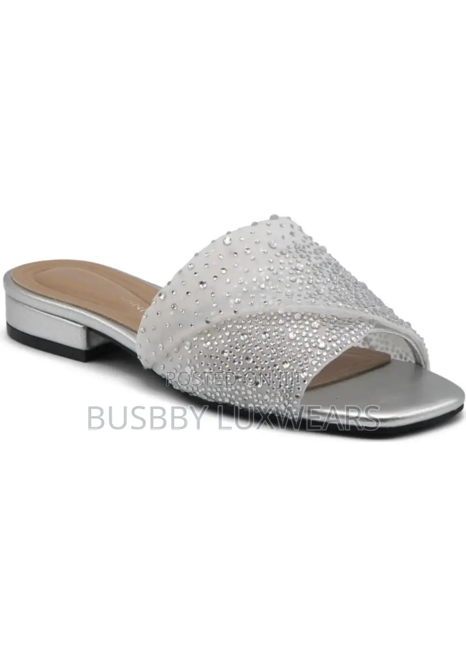 Jewel Badgley Mischka Delaney Glittering Slippers(U.S)