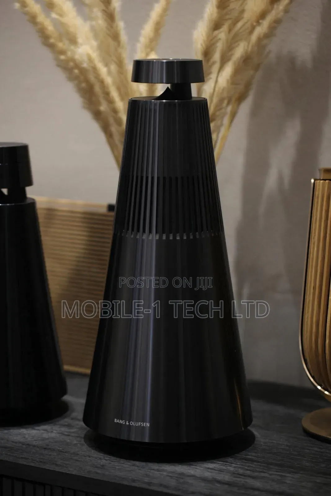 Bang and Olufsen Beosound 2, 3rd Gen