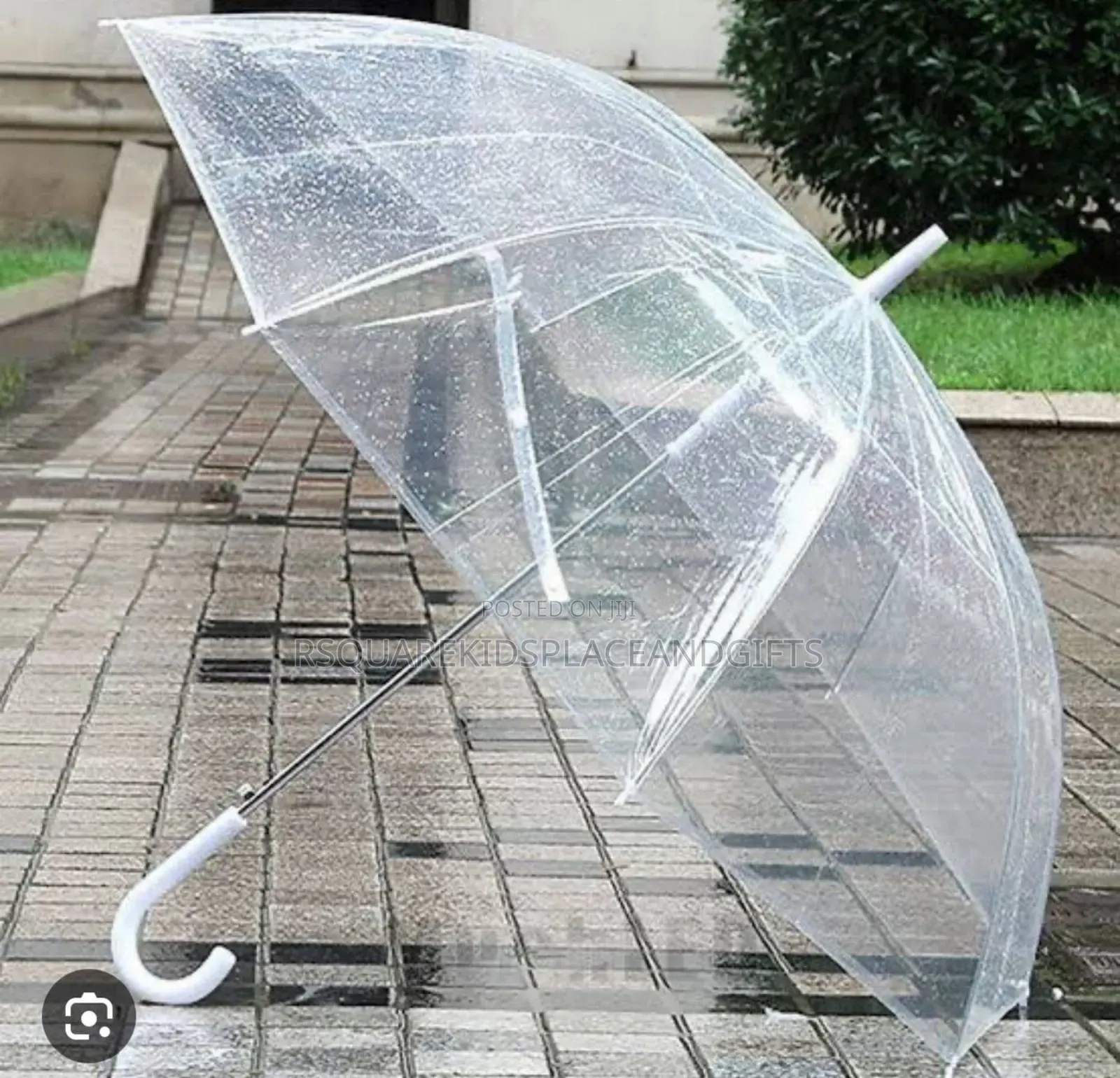Transparent Umbrella for Souvenir in Doz Price