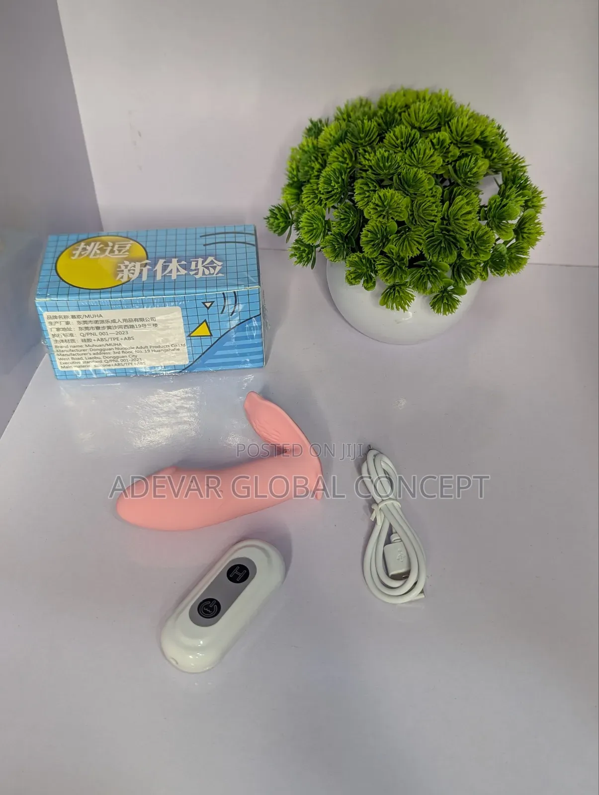 Panty Wearable Rechargeable Remote Control Vibrator Sex Toy for Women