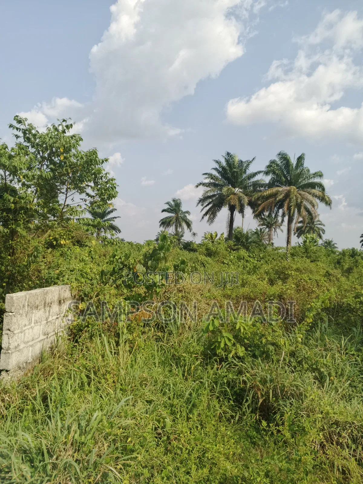 One and Two Plot of Land for Sale Within Airport Junction Off Omagwa