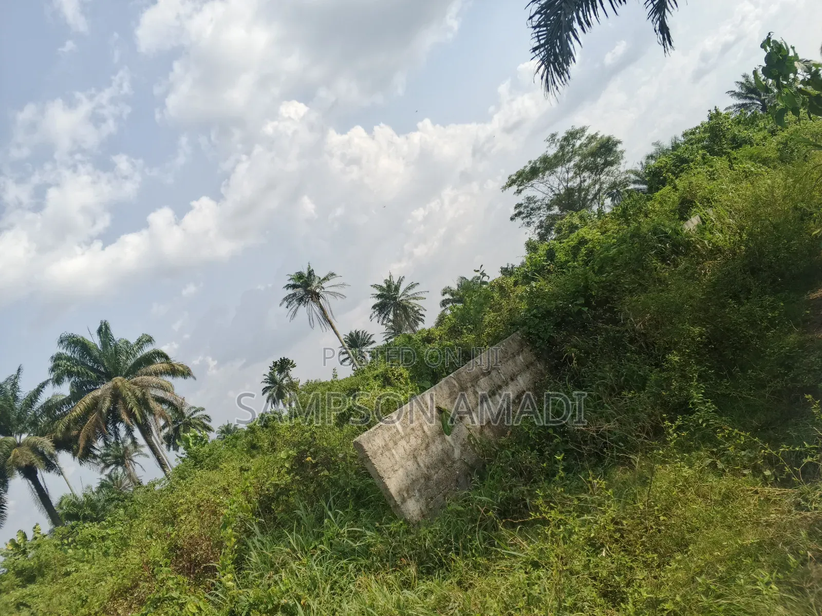 One and Two Plot of Land for Sale Within Airport Junction Off Omagwa