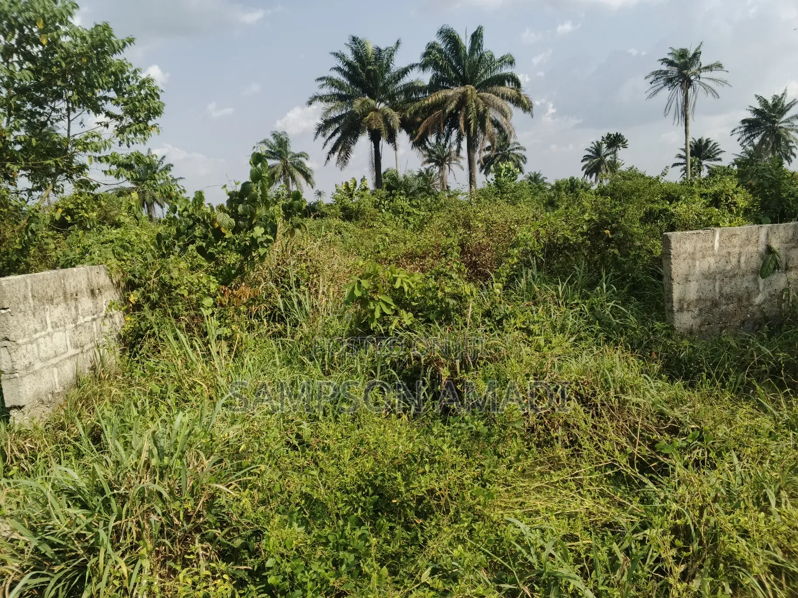 One and Two Plot of Land for Sale Within Airport Junction Off Omagwa