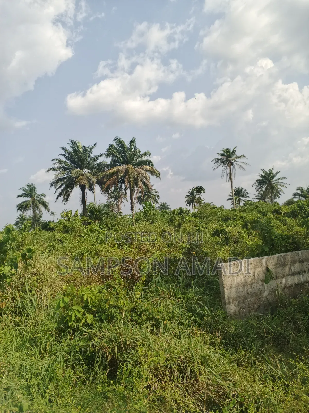 One and Two Plot of Land for Sale Within Airport Junction Off Omagwa