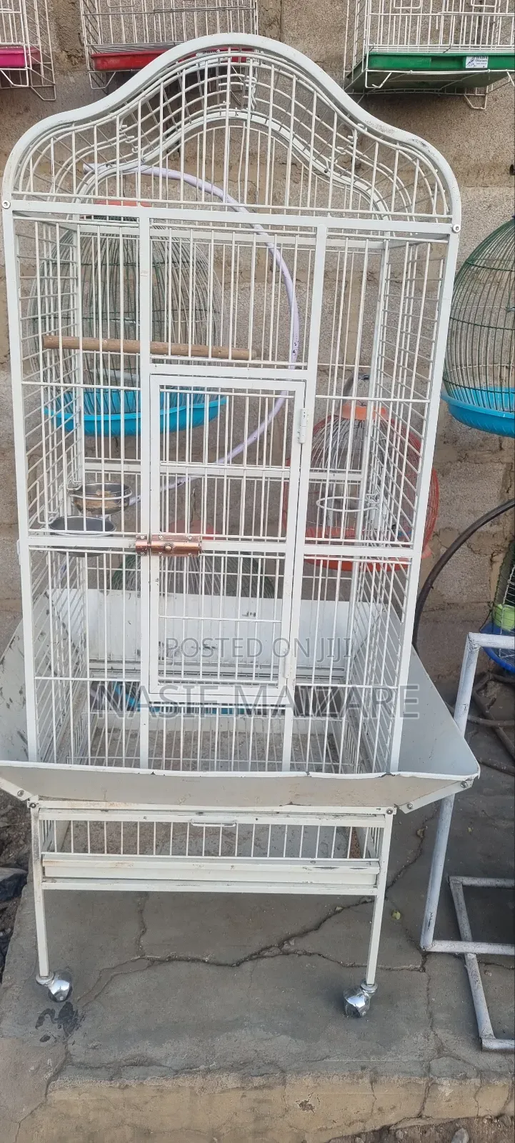 Parrot Cage Is Available