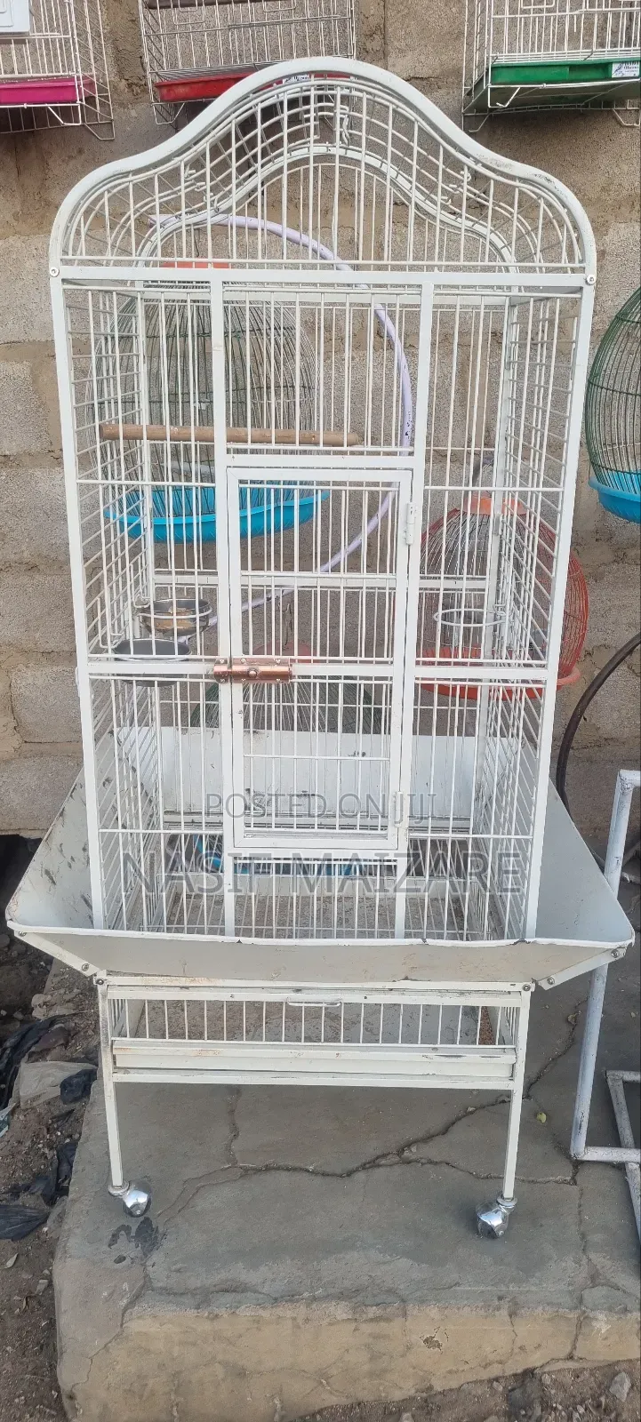 Parrot Cage Is Available