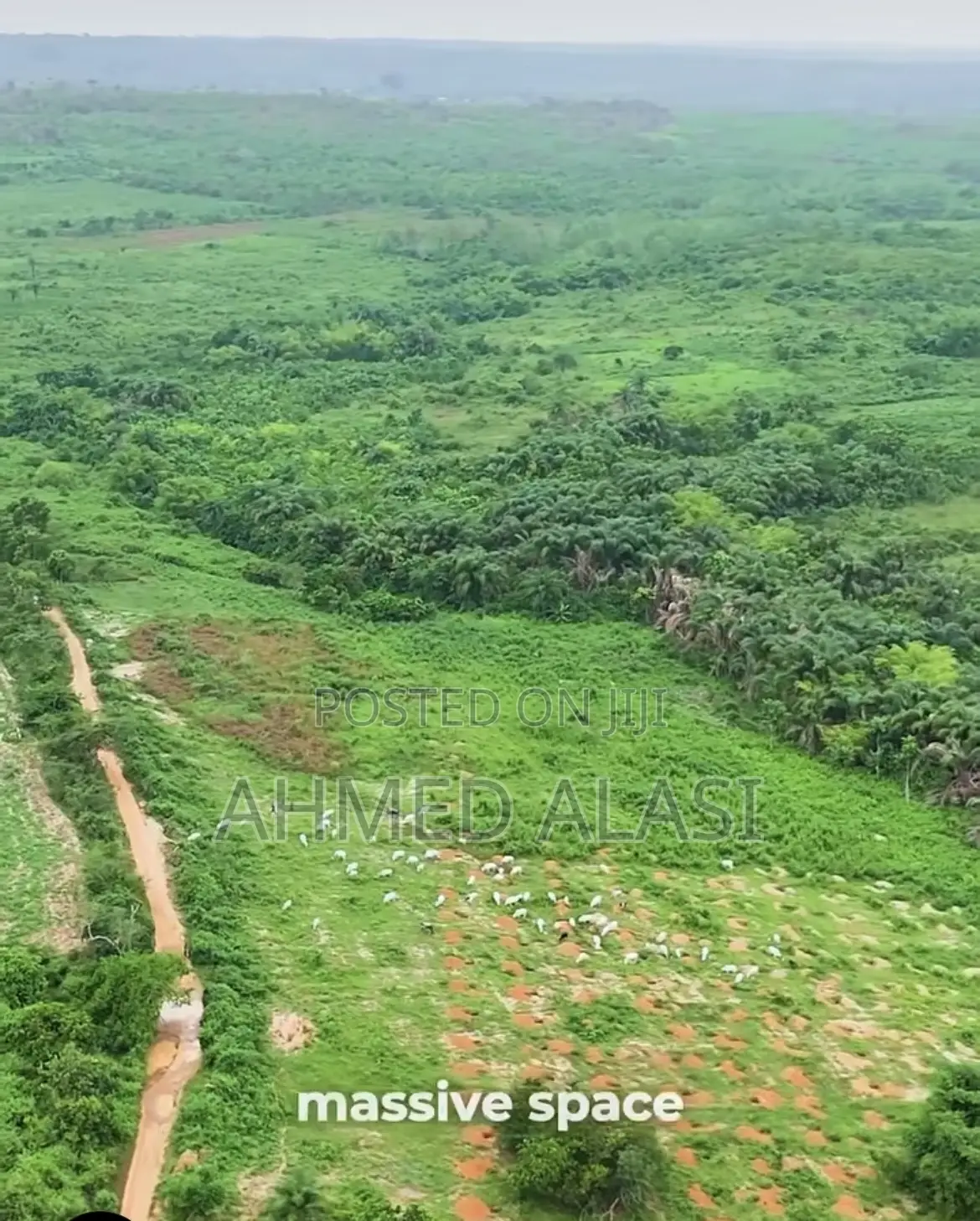 Ibile Farm City by Ace and Realty Boss Assets Limited