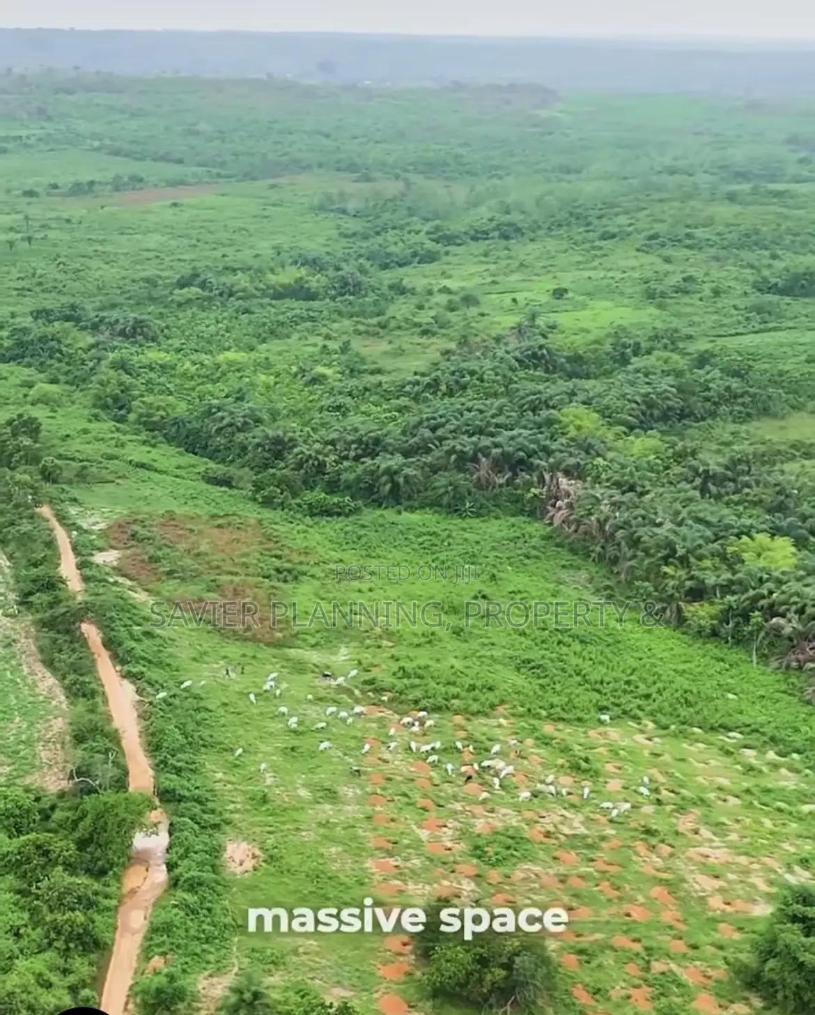 Ibile Farm City by Ace and Realty Boss Assets Limited