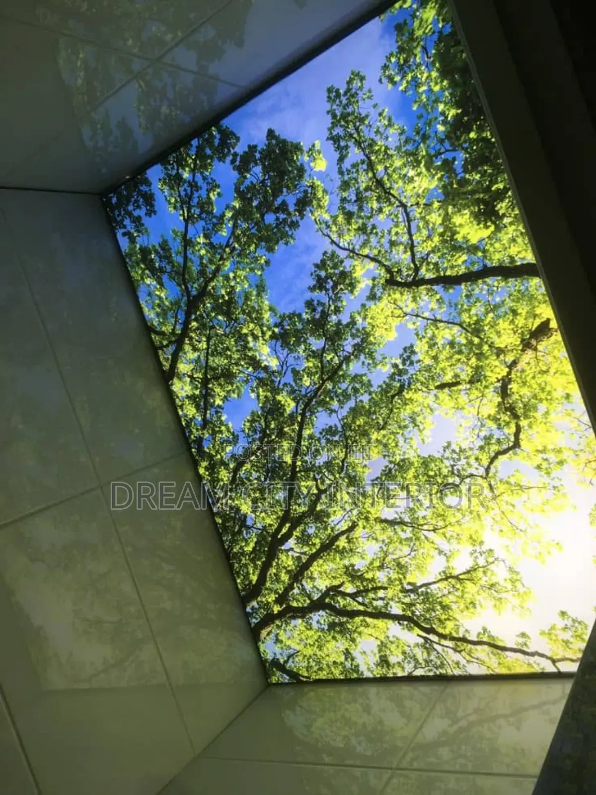 Dream Interior 3d Design
