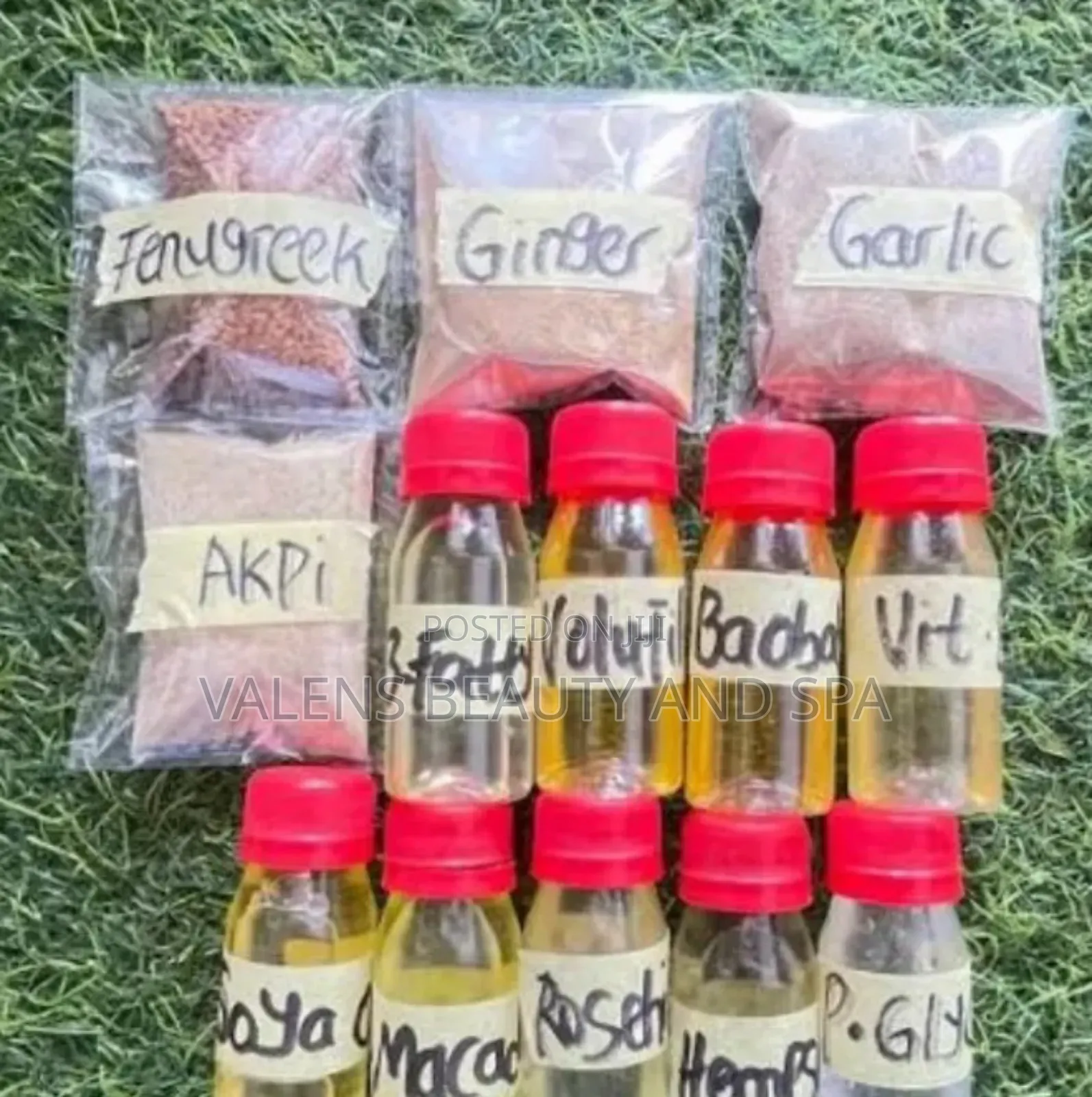 All Seeds Available