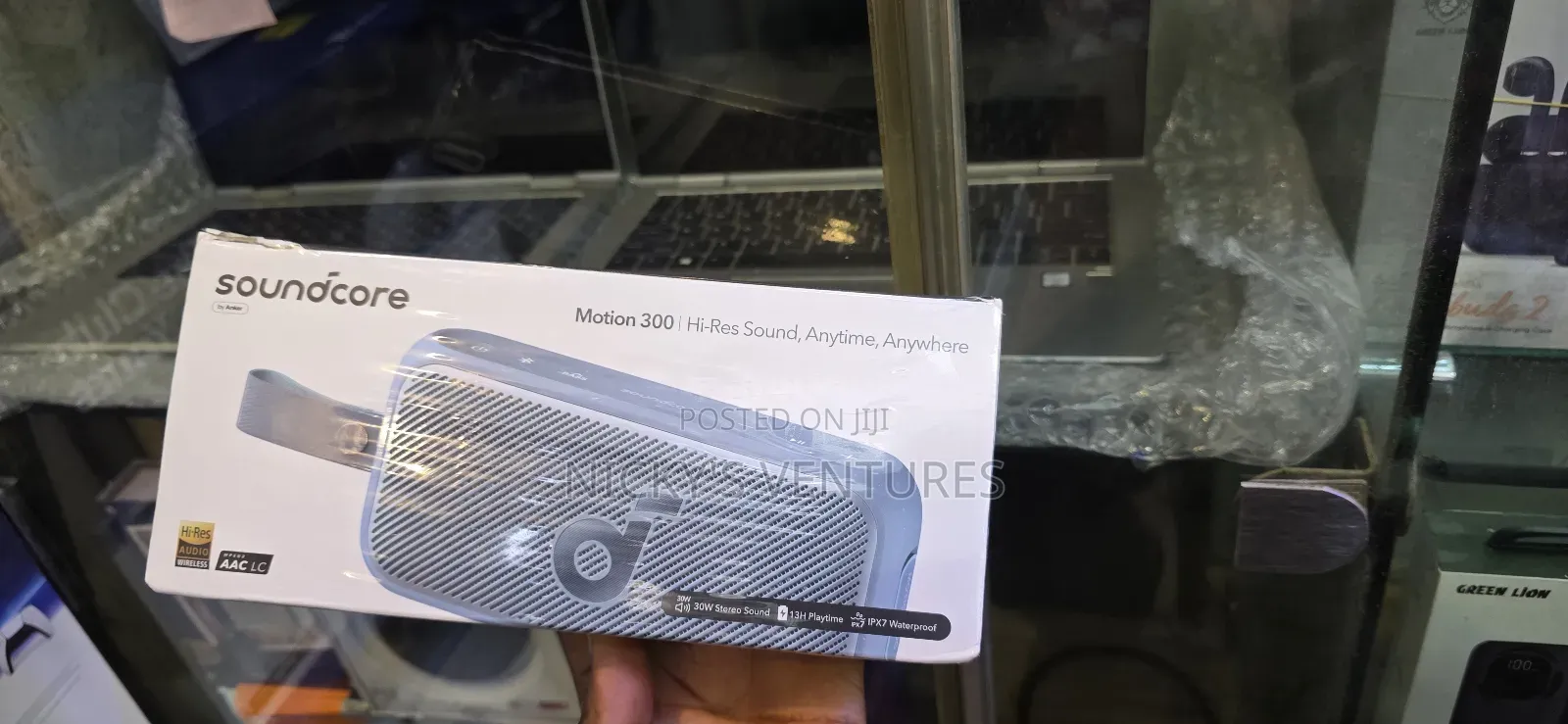 Soundcore Motion 300 Speaker