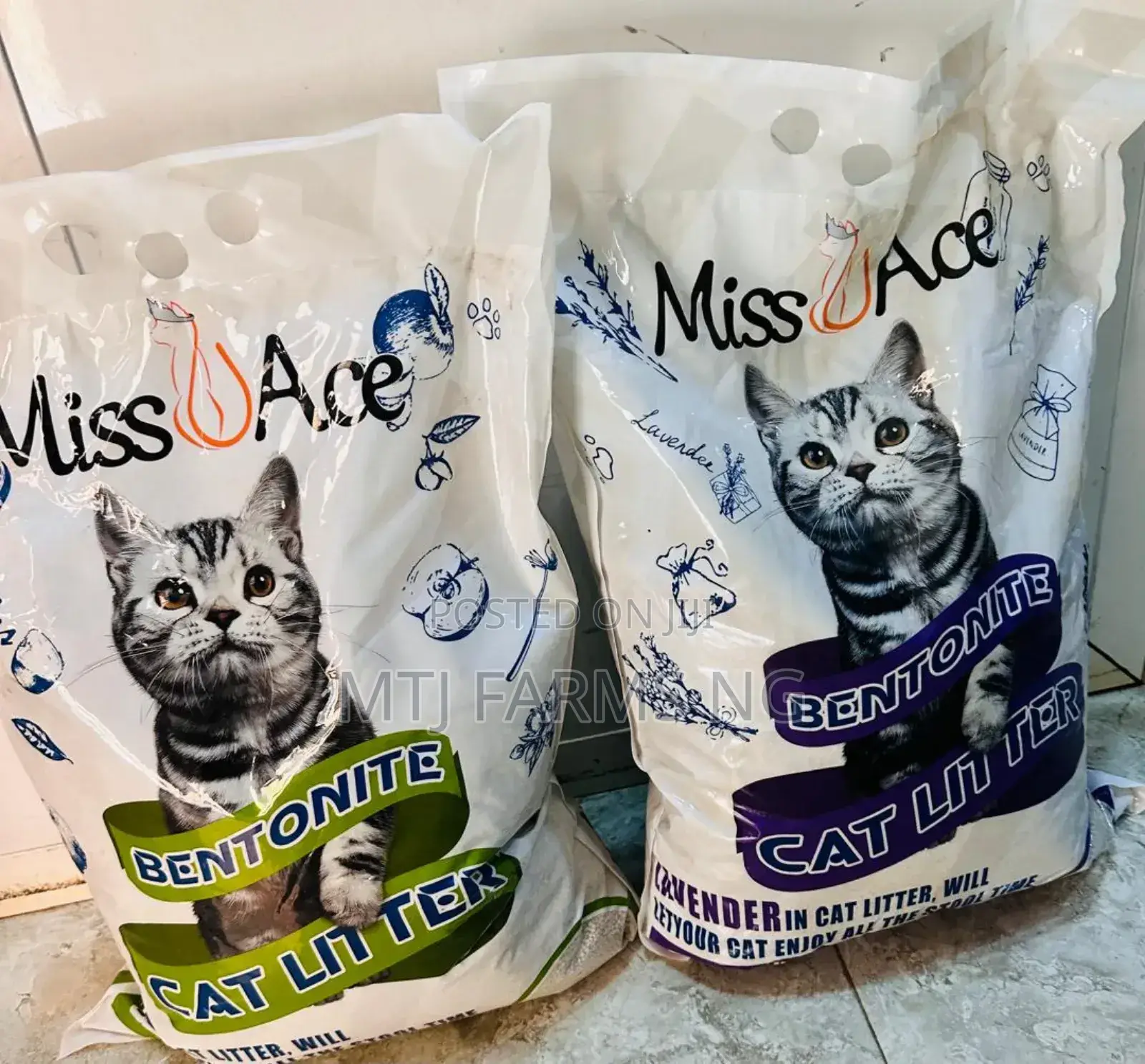 Cats Litter