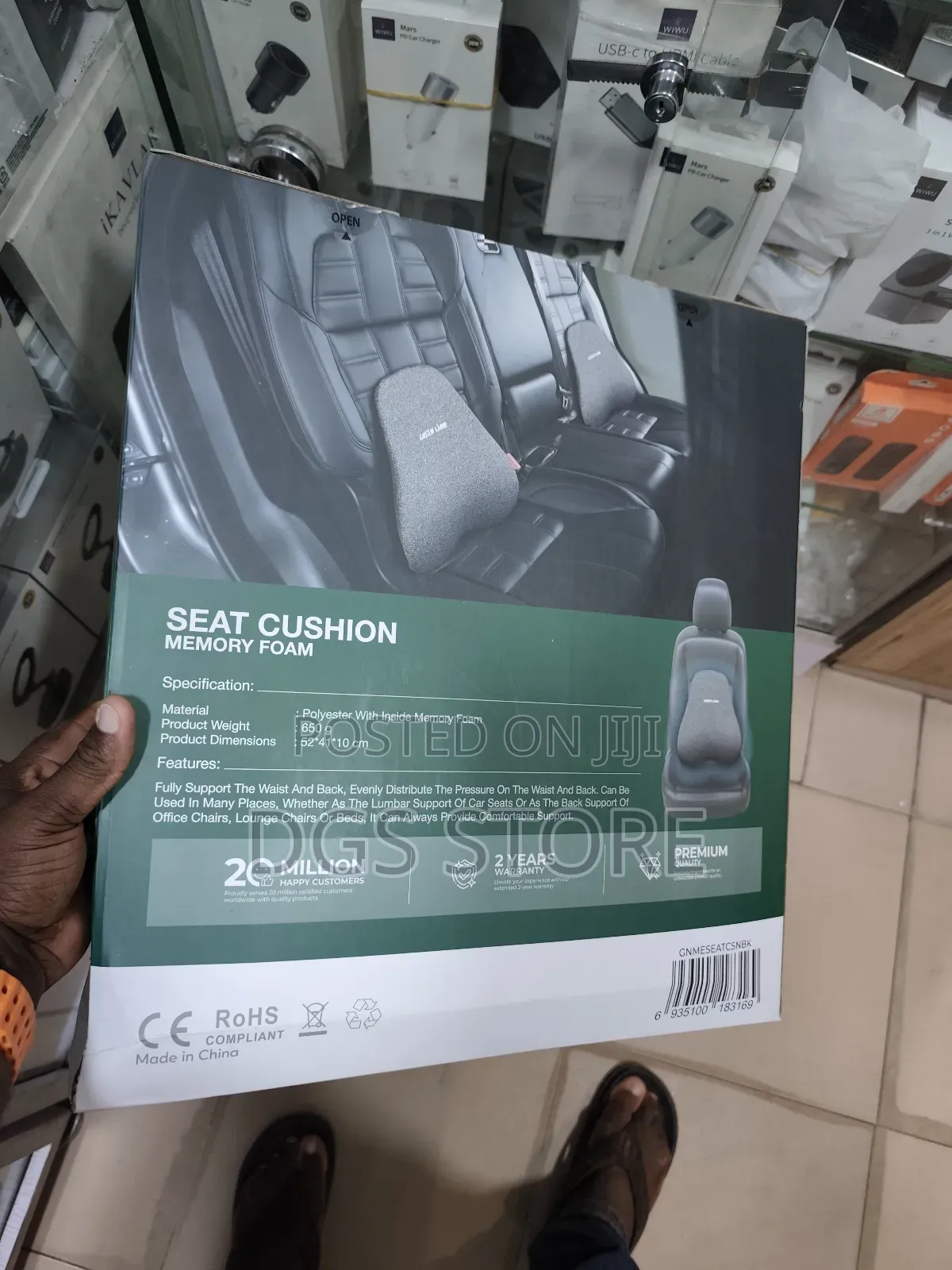Green Lion Seat Cushion