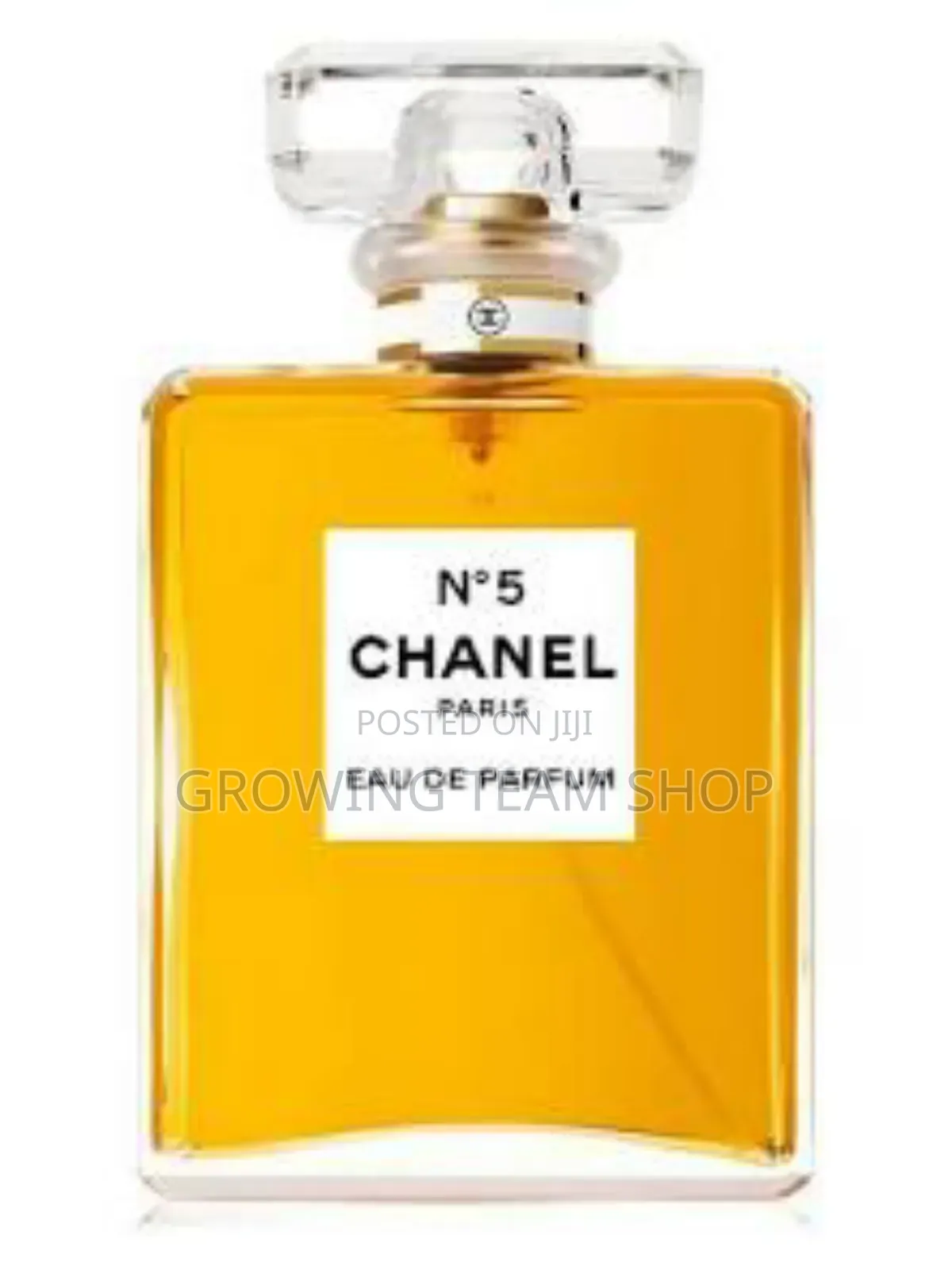Chanel No 5 Women Perfume | 10ml Oil