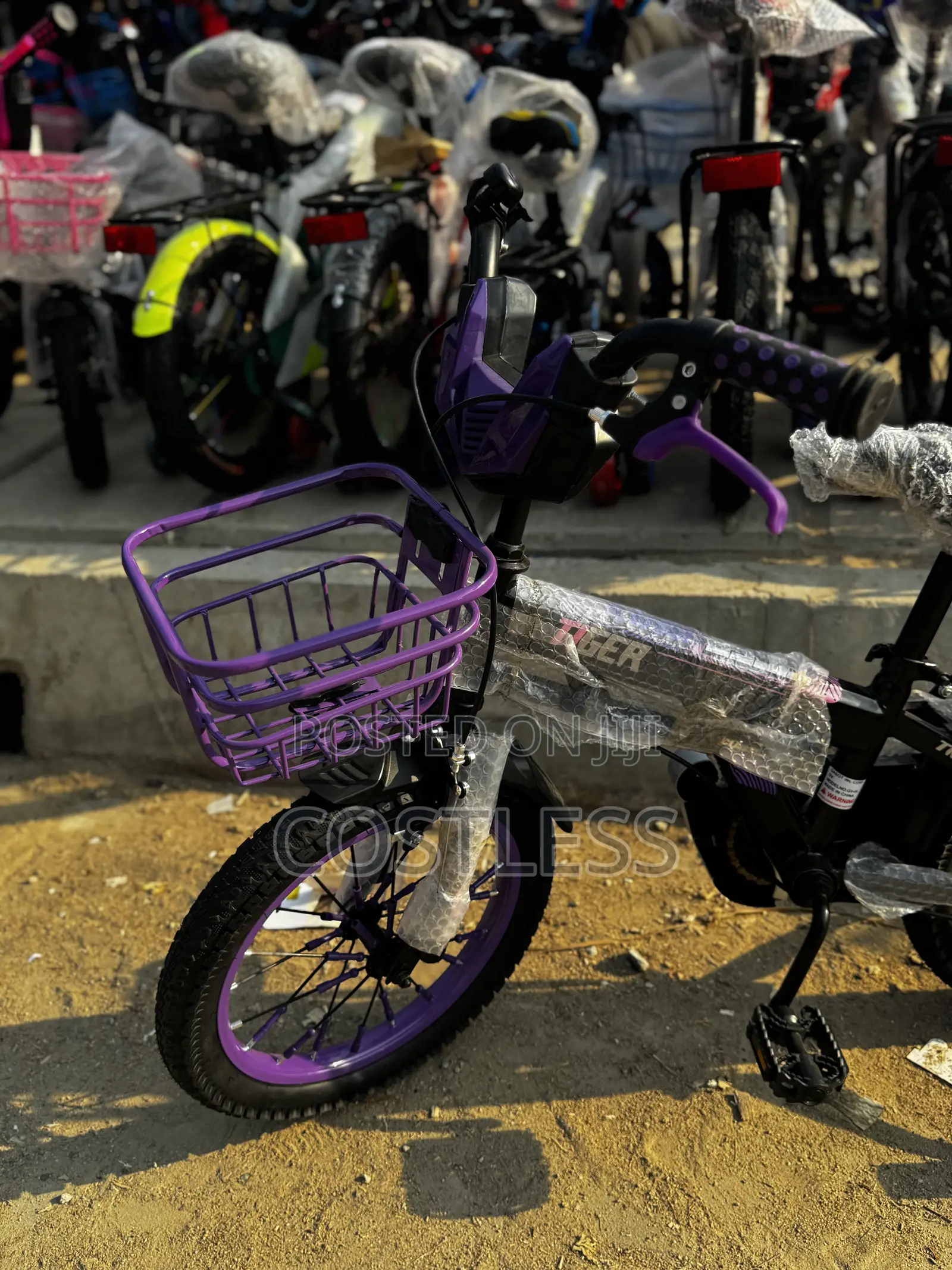 Tiger Kids' Bicycle With Training Wheels