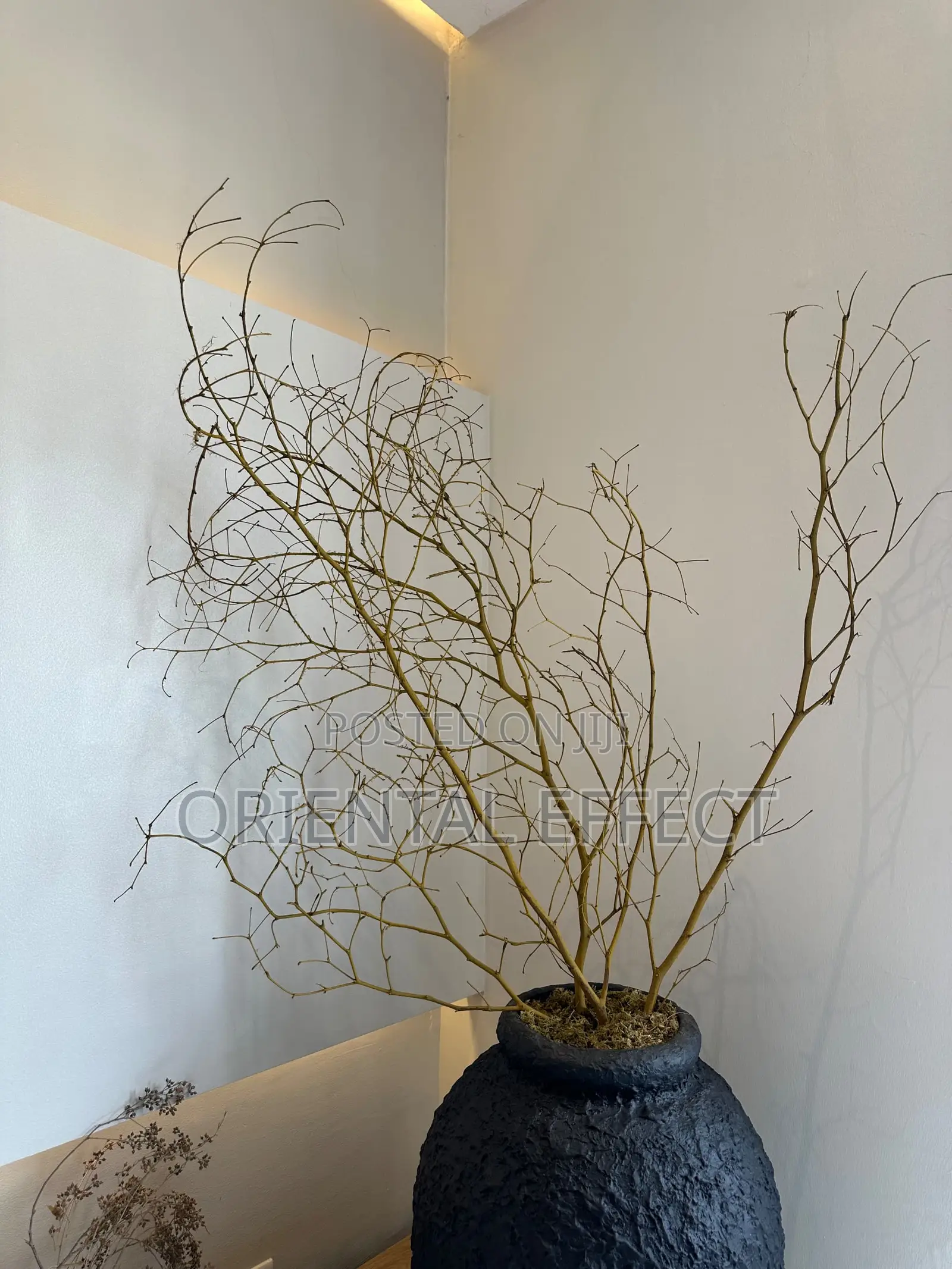 Textured Black Big Nyx Planter With Natural Twigs | Home Décor Styles