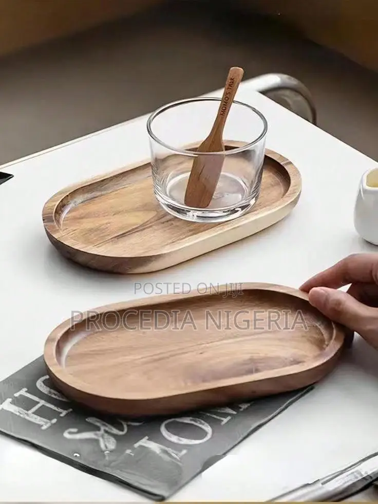 Oval Snake Serving / Deco Tray – For Buffets, Restaurants Souvenirs