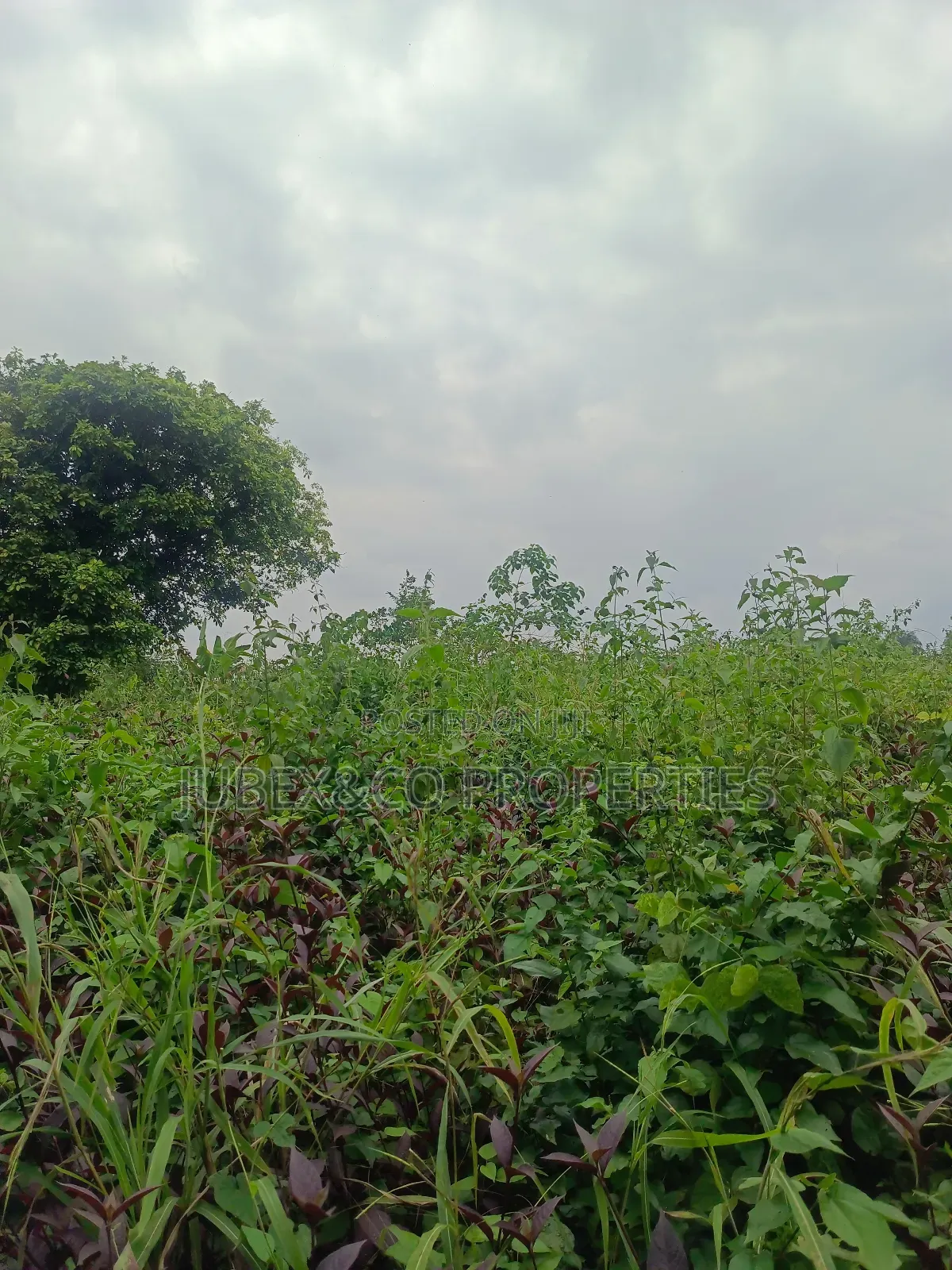 Acres of Land at Obafemi Owode