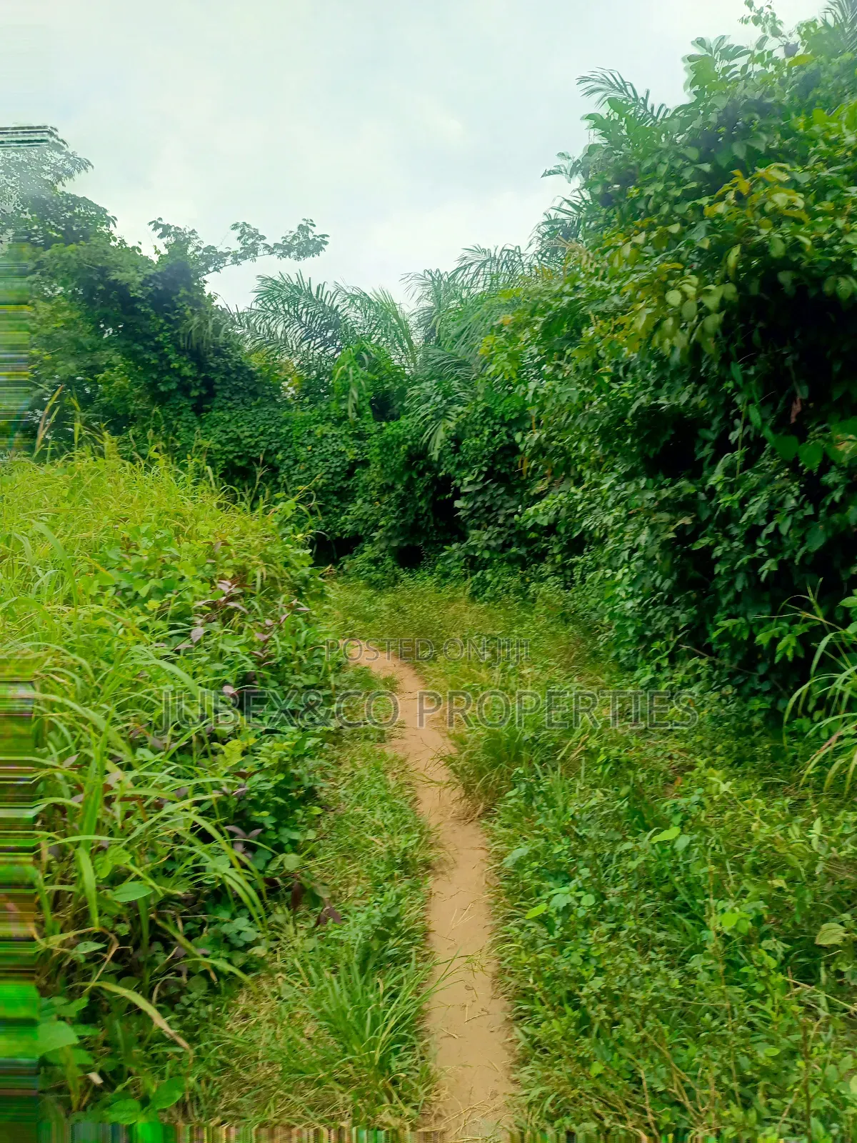 Acres of Land at Obafemi Owode