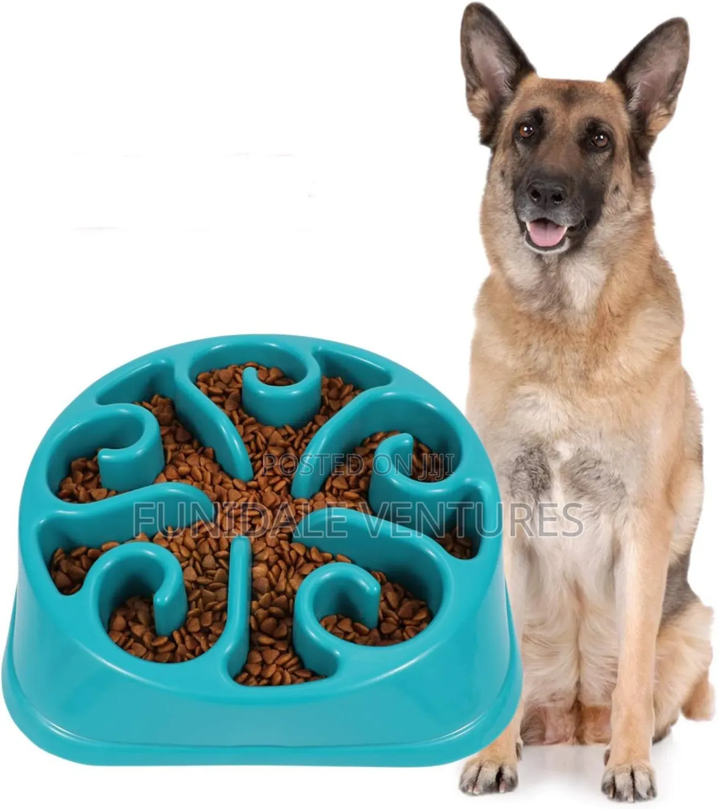 Slow Feeder Dog Bowl