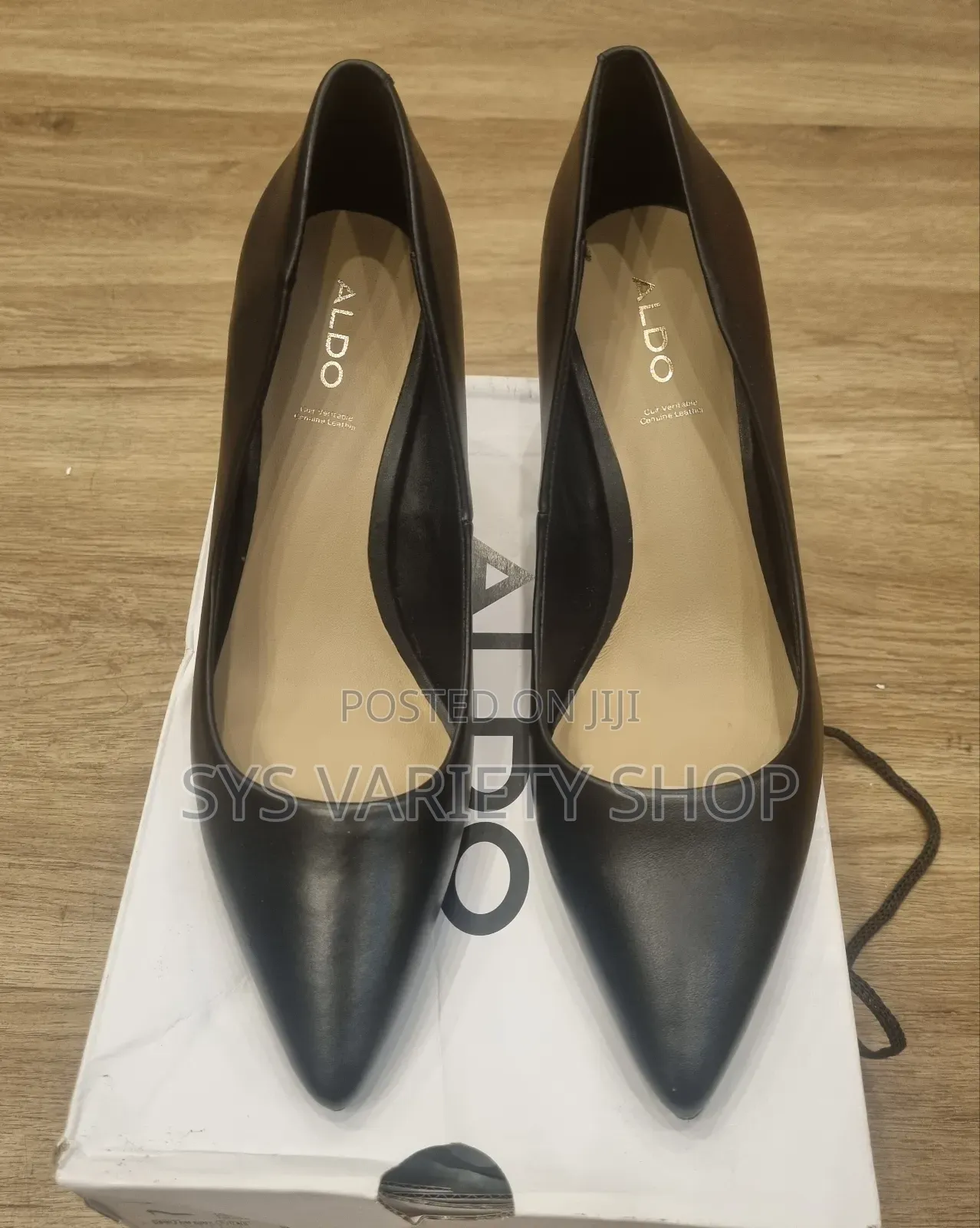 Aldo Pointed Toe Heel Pump
