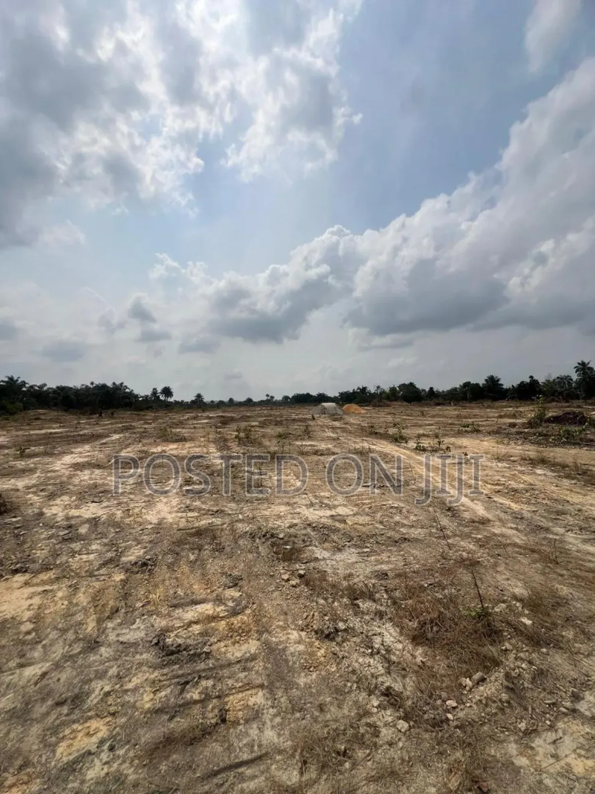 Dry Land for Sale in Epe | Long Term | Land Banking