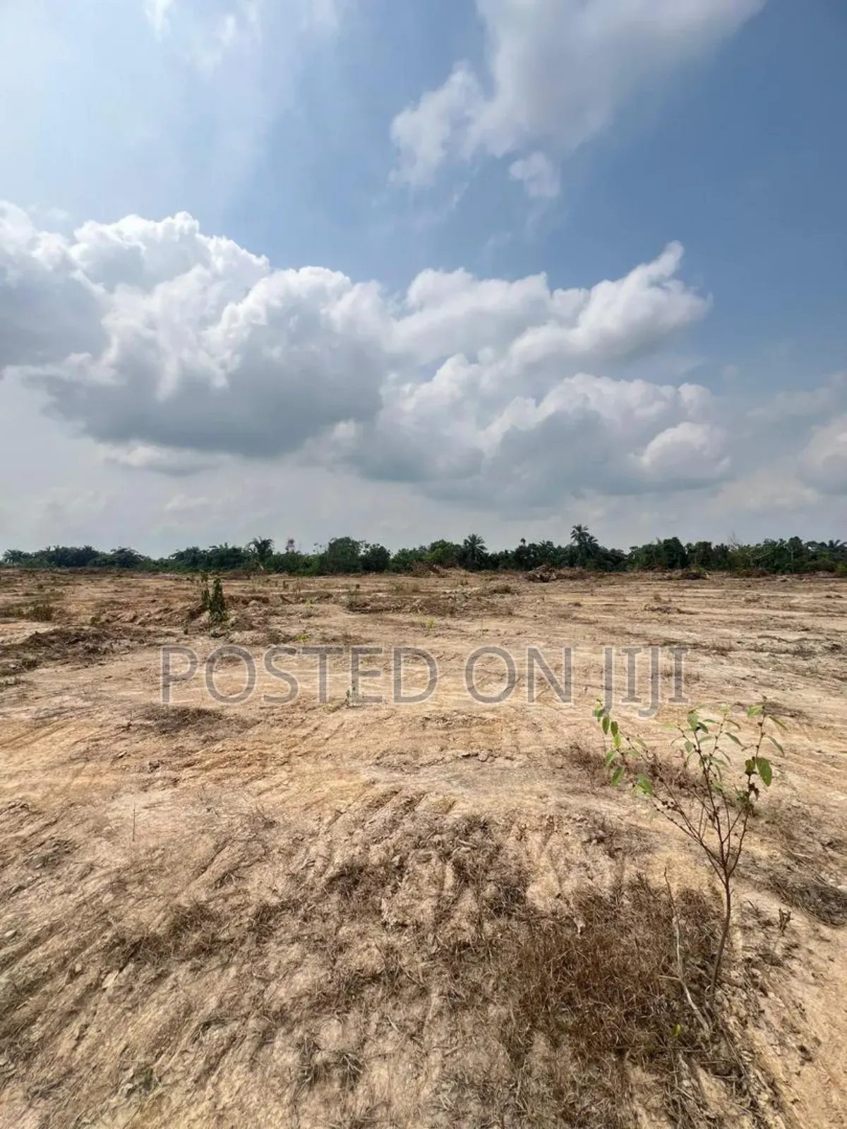 Dry Land for Sale in Epe | Long Term | Land Banking