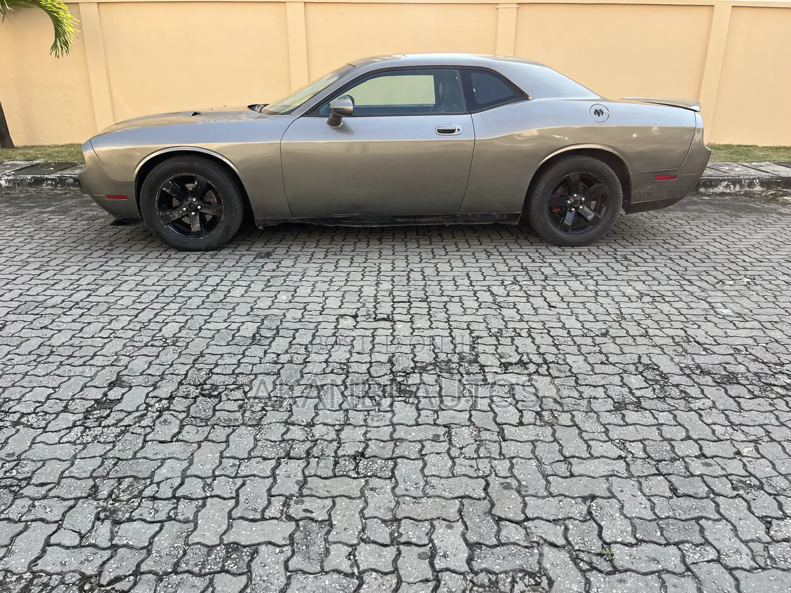 Dodge Challenger R/T PLUS 2013 Gray
