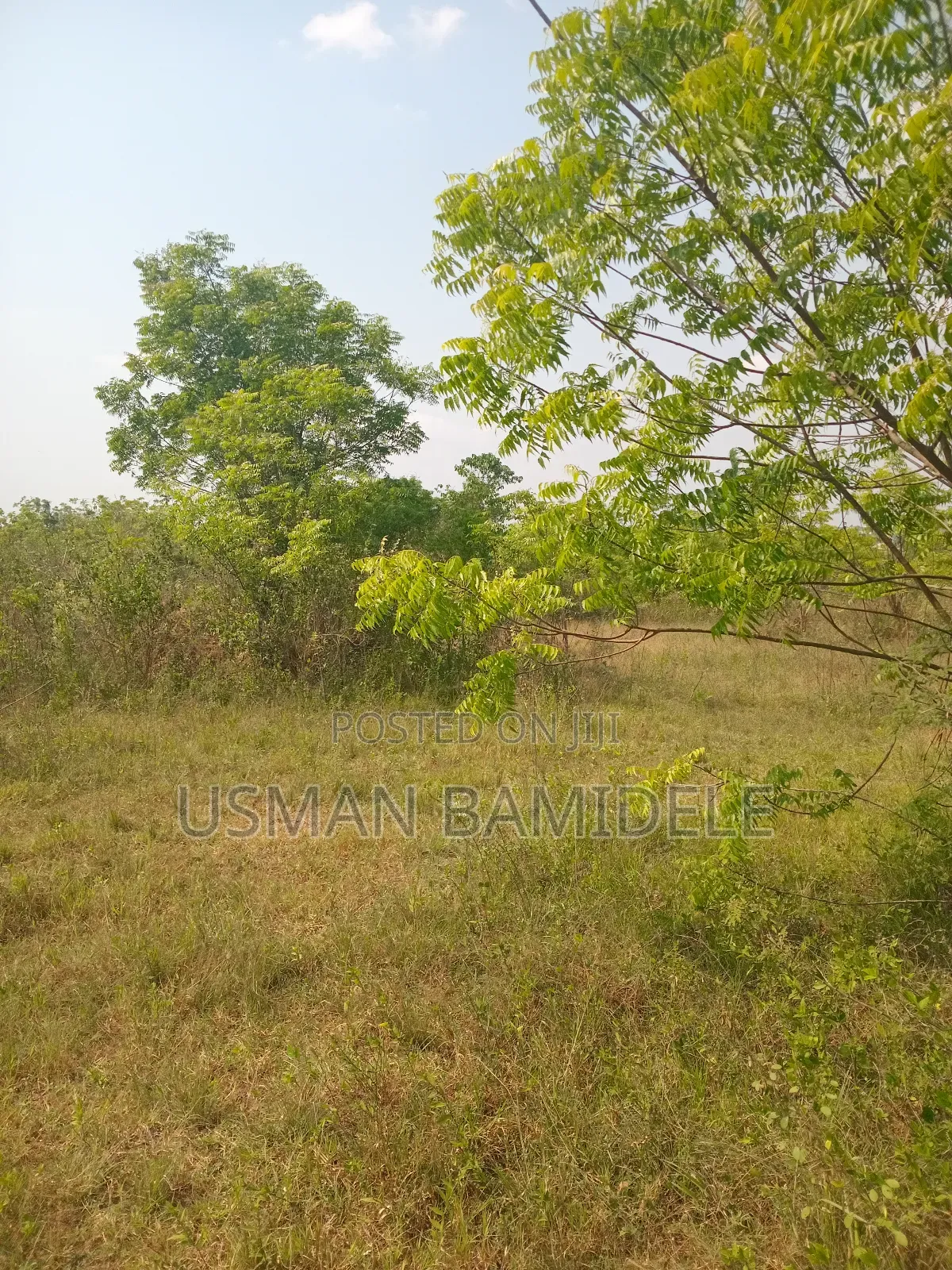 Land for Sale